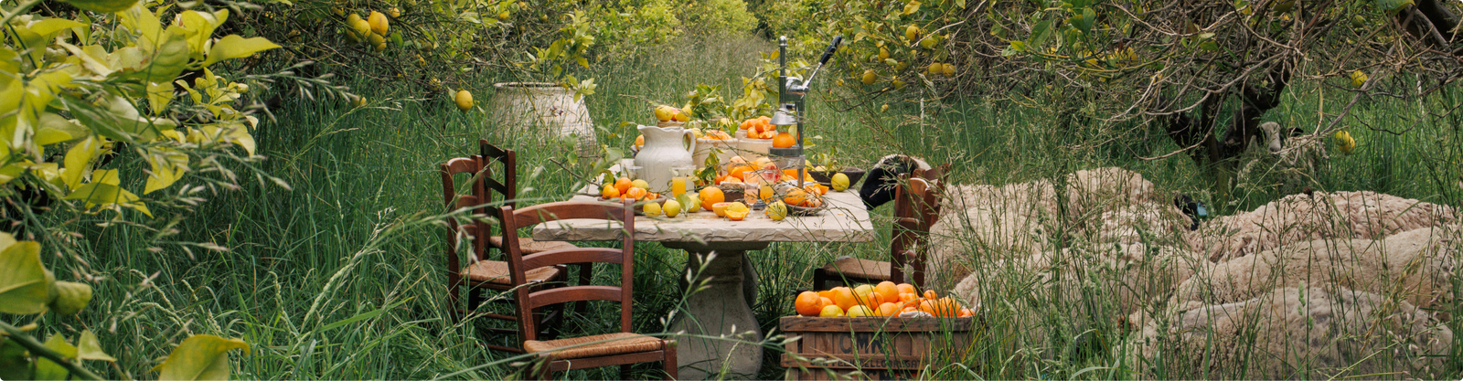 Orchard Lore