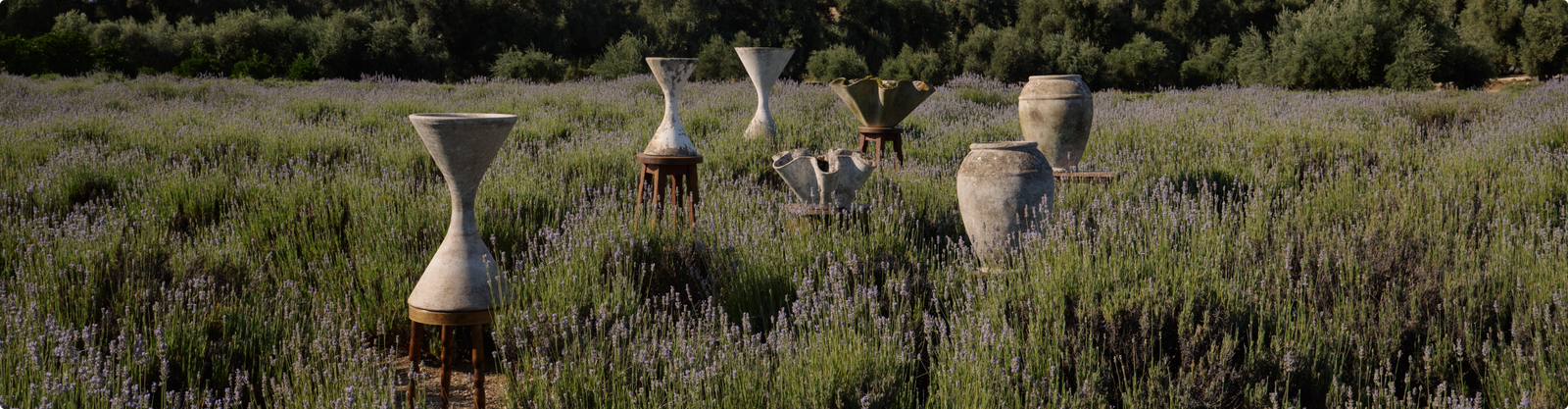 Willy Guhl Planters