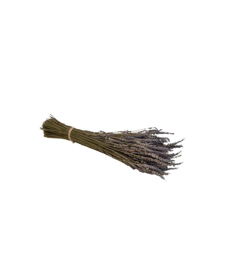 Designed Lavender Bunch from Domestic made of Lavender
