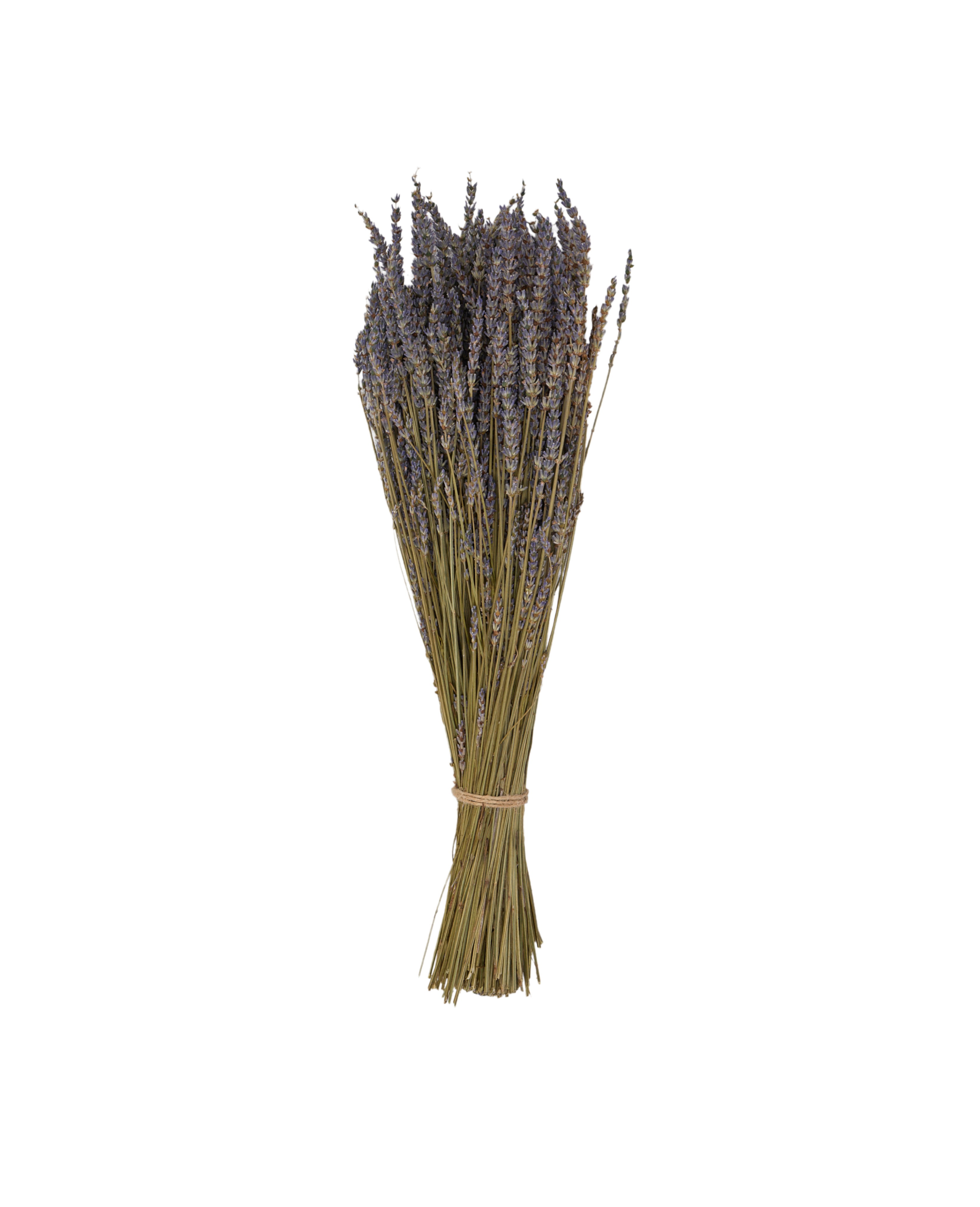 Lavender Bunch