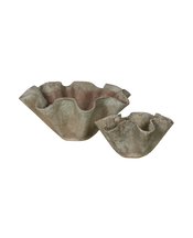 Willy Guhl Planter - Organic Assorted