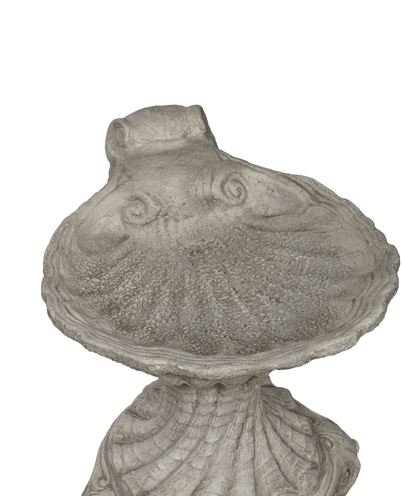 Reproduction Cast Shell Bird Bath from Domestic made of Cement