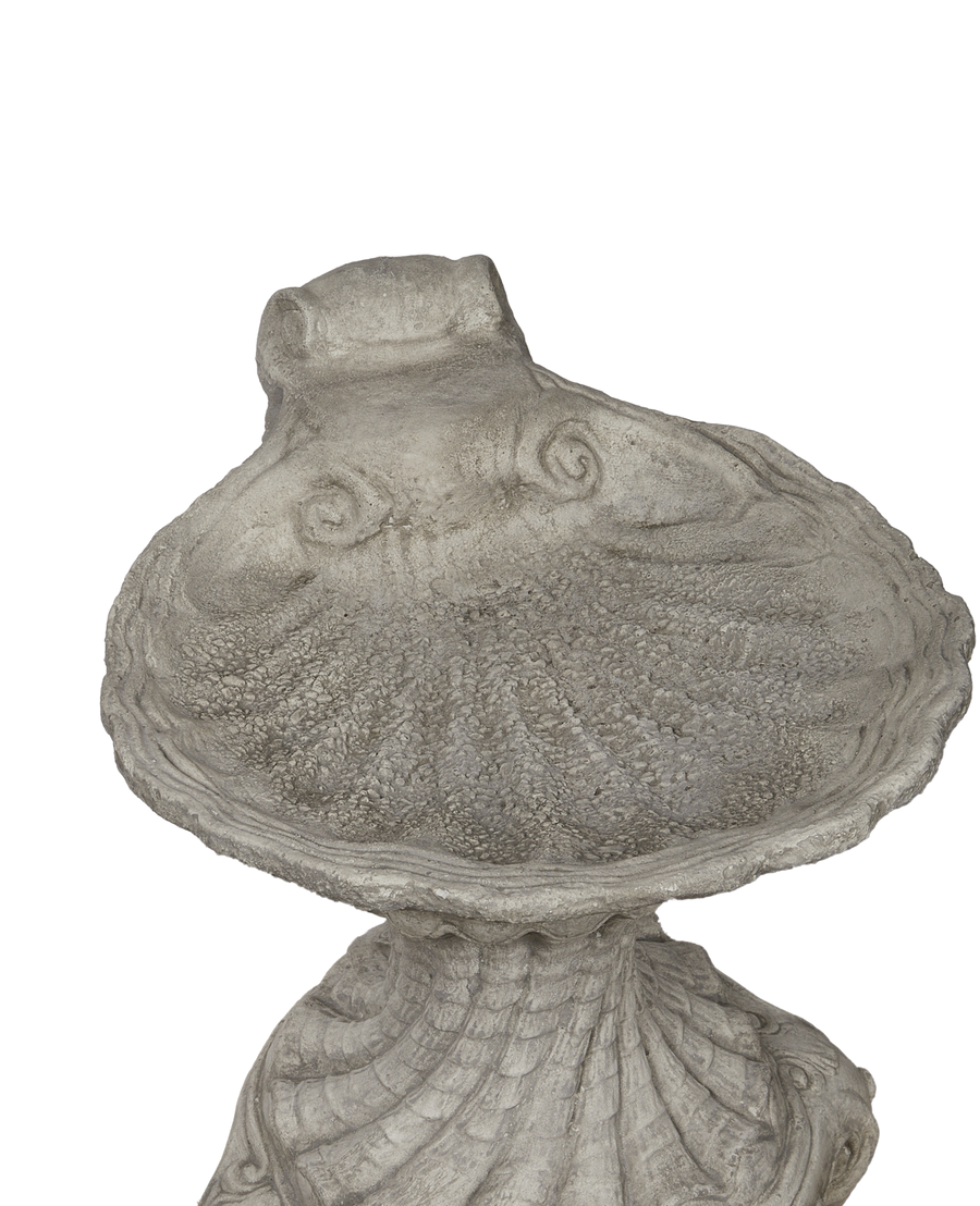 Reproduction Cast Shell Bird Bath from Domestic made of Cement