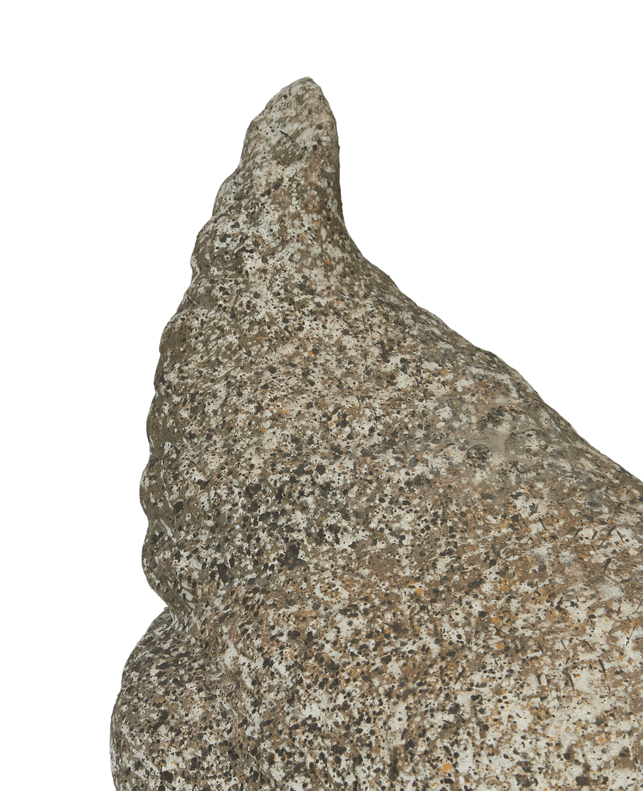 Antique Chicken Statue from France made of Cement