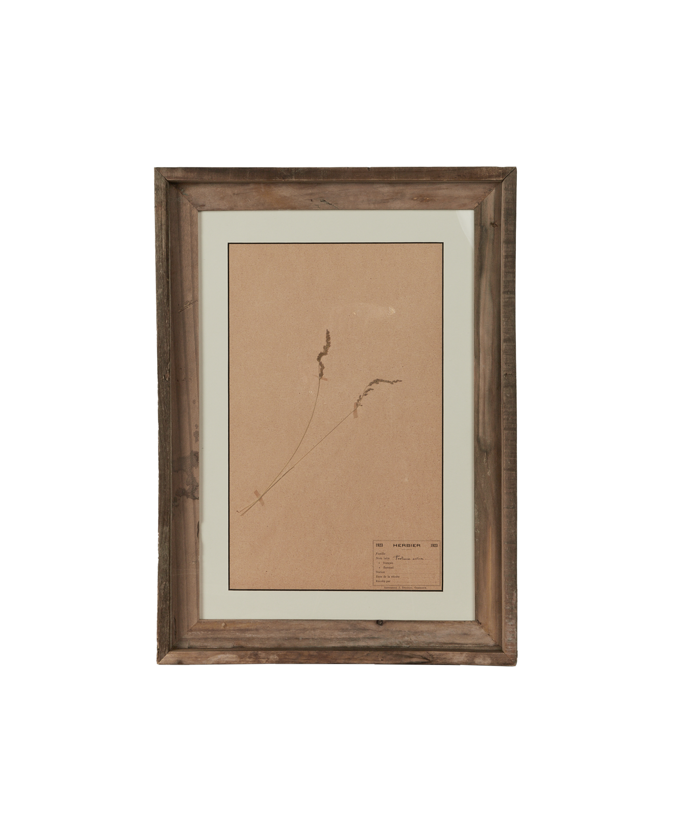 Antique Les Fleurs du Temps from France made of Canvas