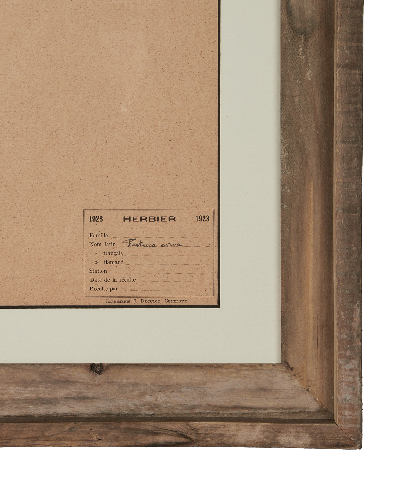 Antique Les Fleurs du Temps from France made of Canvas