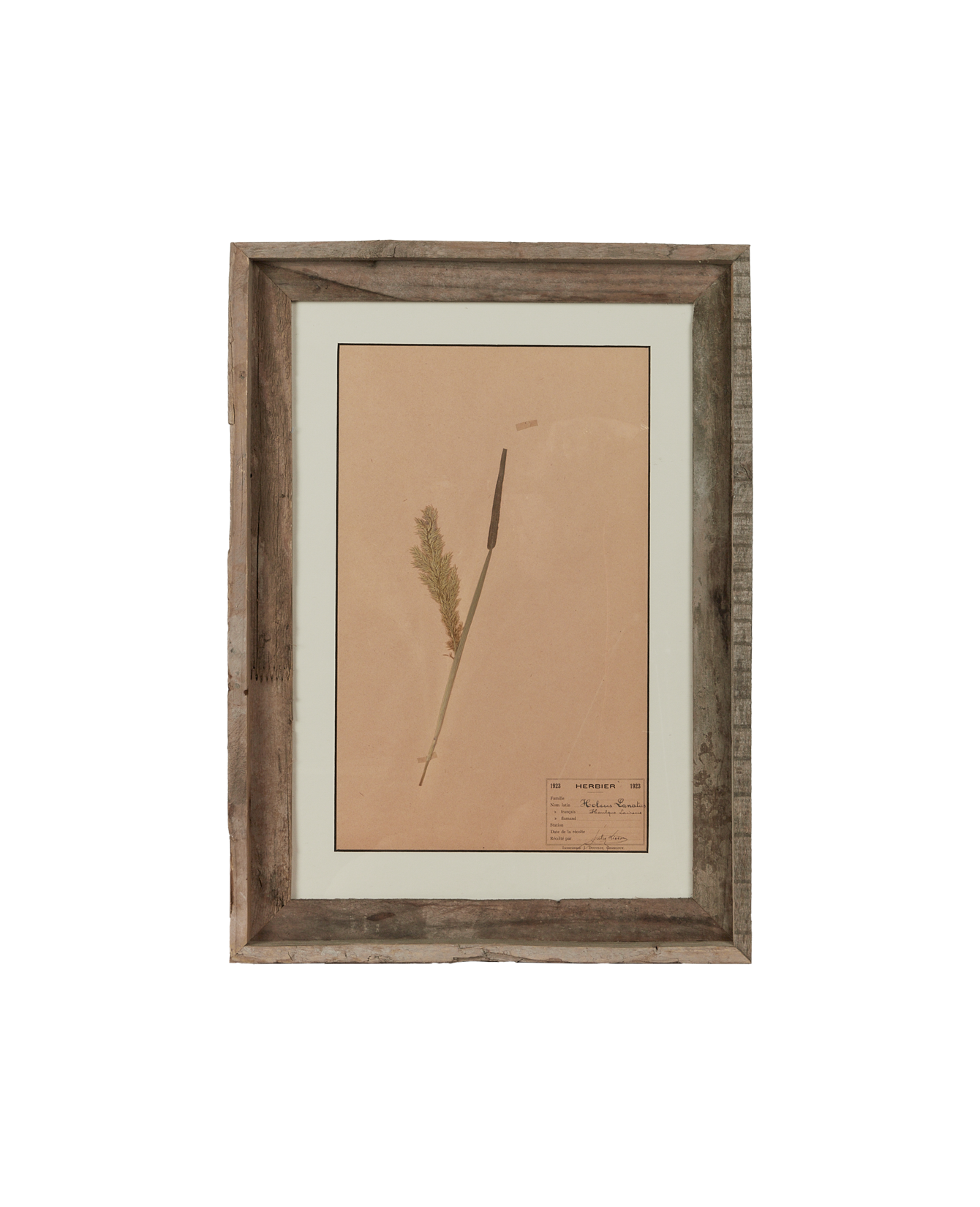 Antique Les Fleurs du Temps from France made of Canvas
