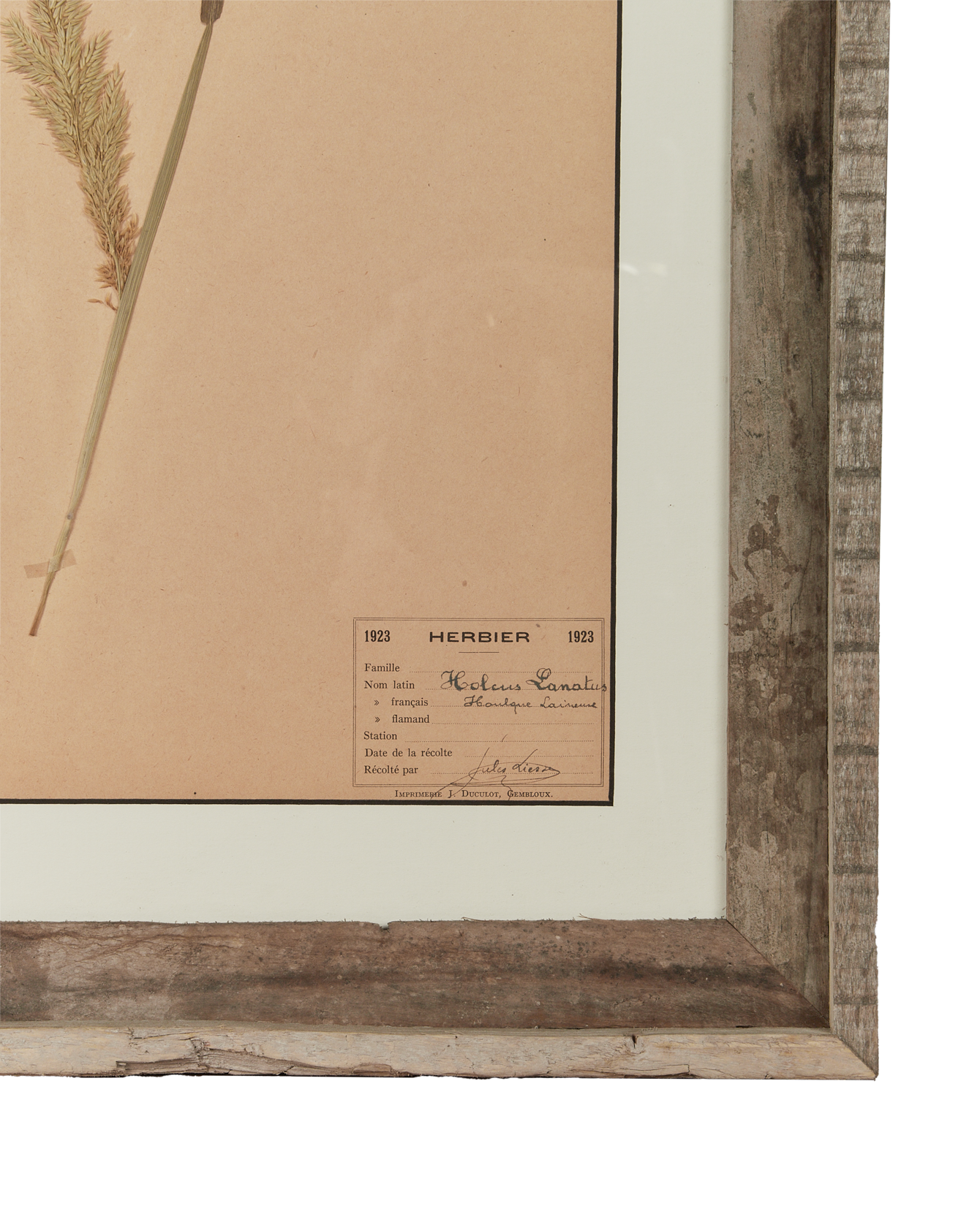 Antique Les Fleurs du Temps from France made of Canvas