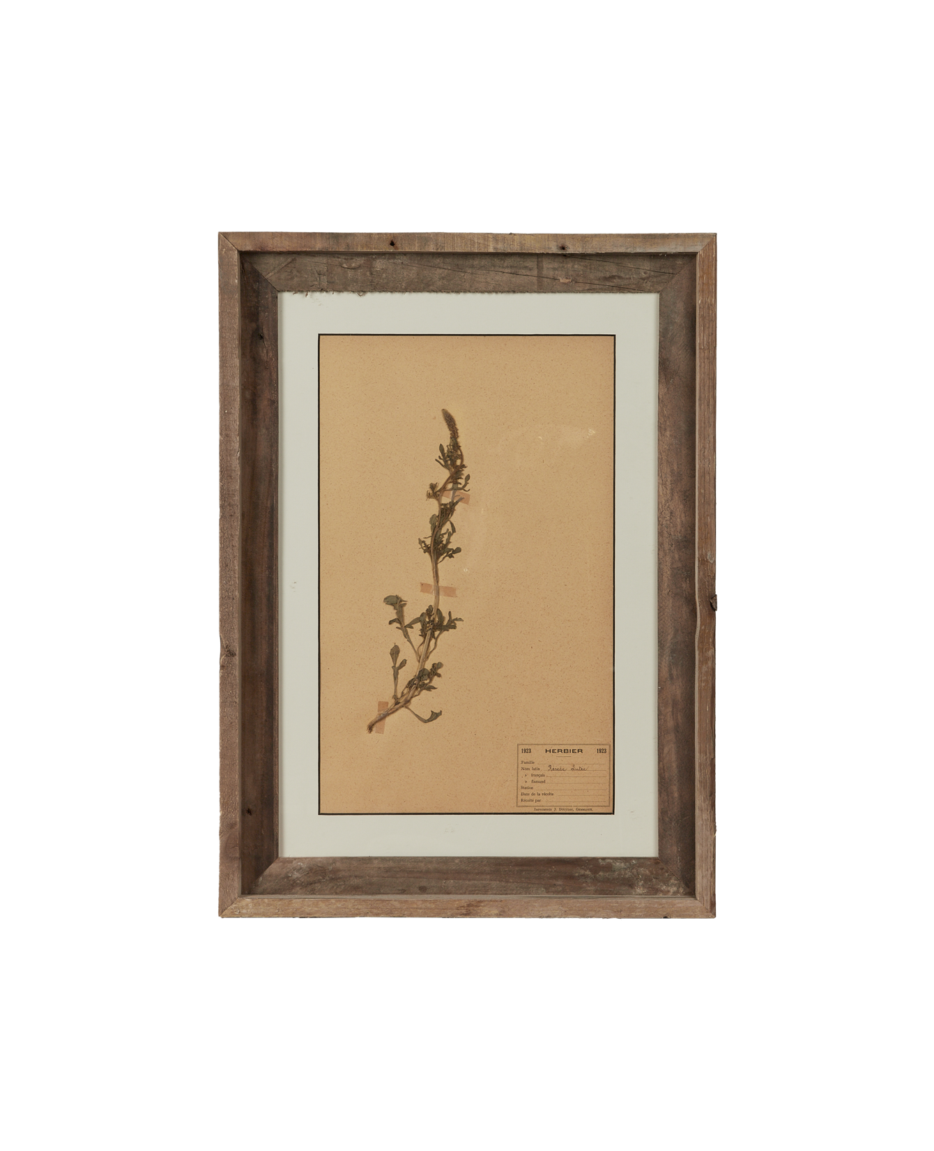 Antique Les Fleurs du Temps from France made of Canvas