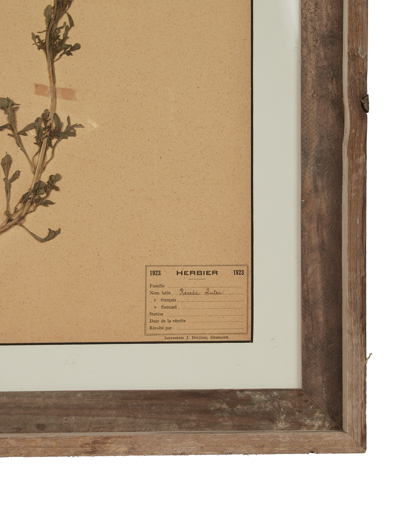 Antique Les Fleurs du Temps from France made of Canvas