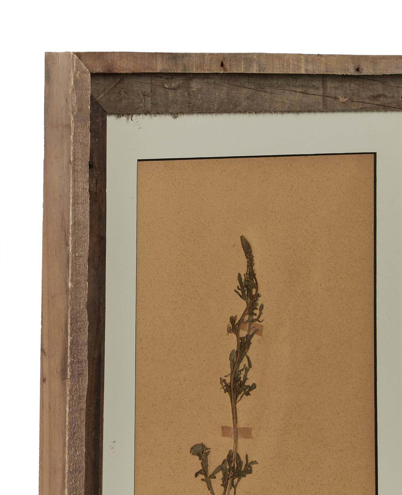 Antique Les Fleurs du Temps from France made of Canvas