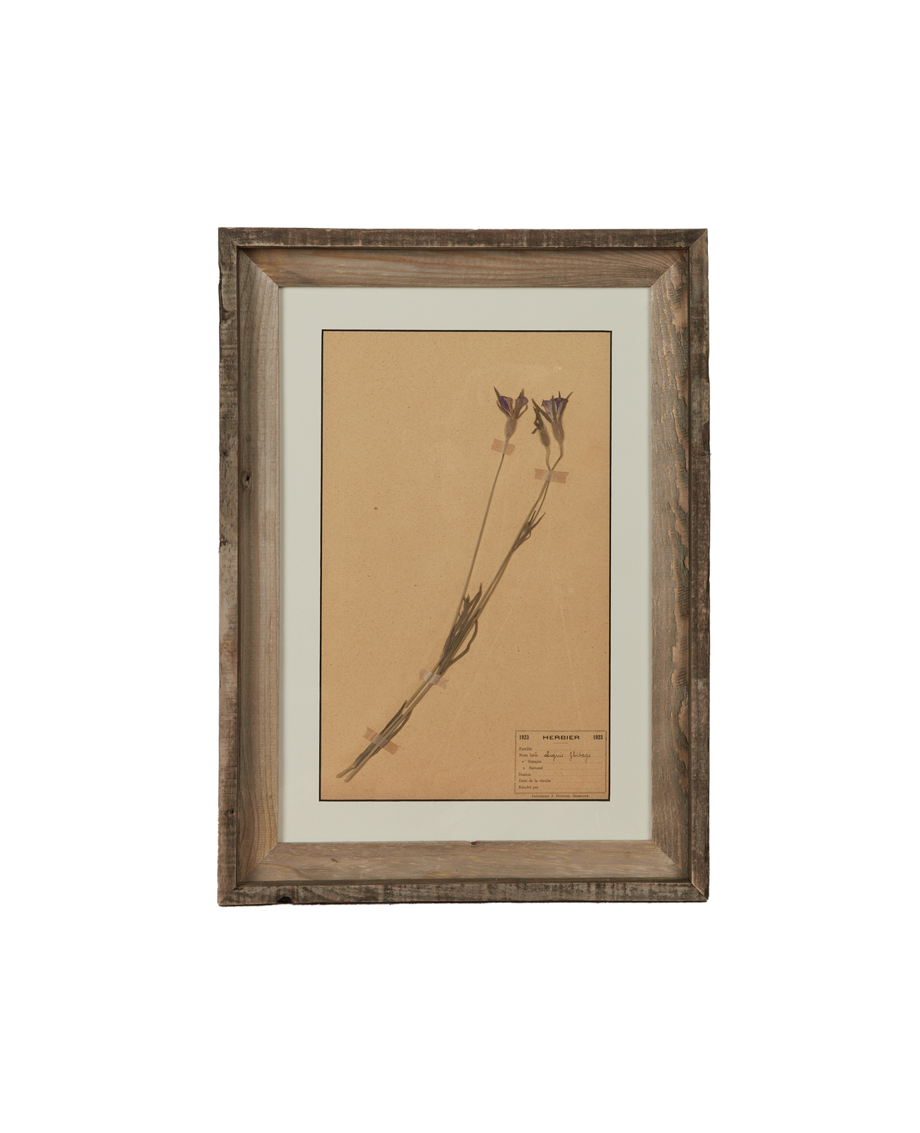 Antique Les Fleurs du Temps from France made of Canvas