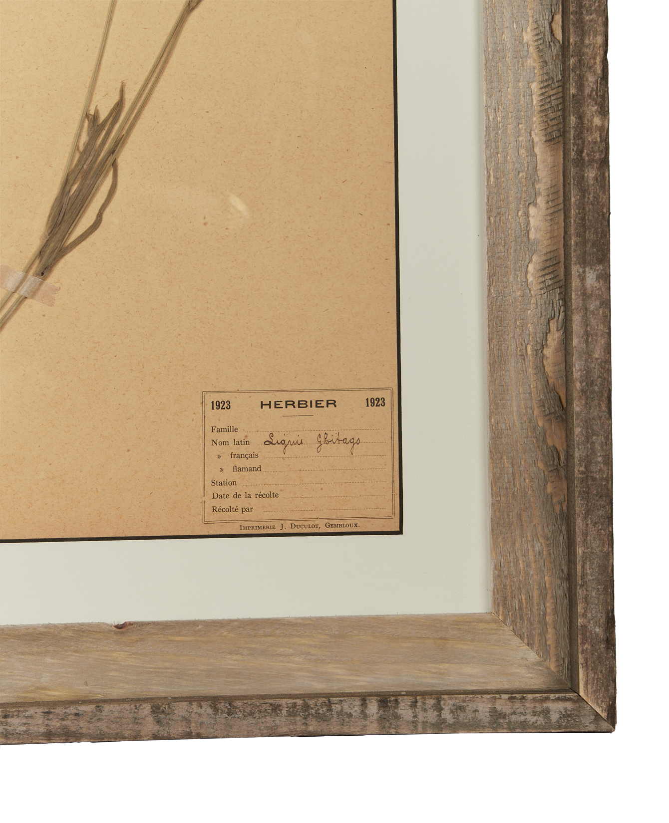 Antique Les Fleurs du Temps from France made of Canvas