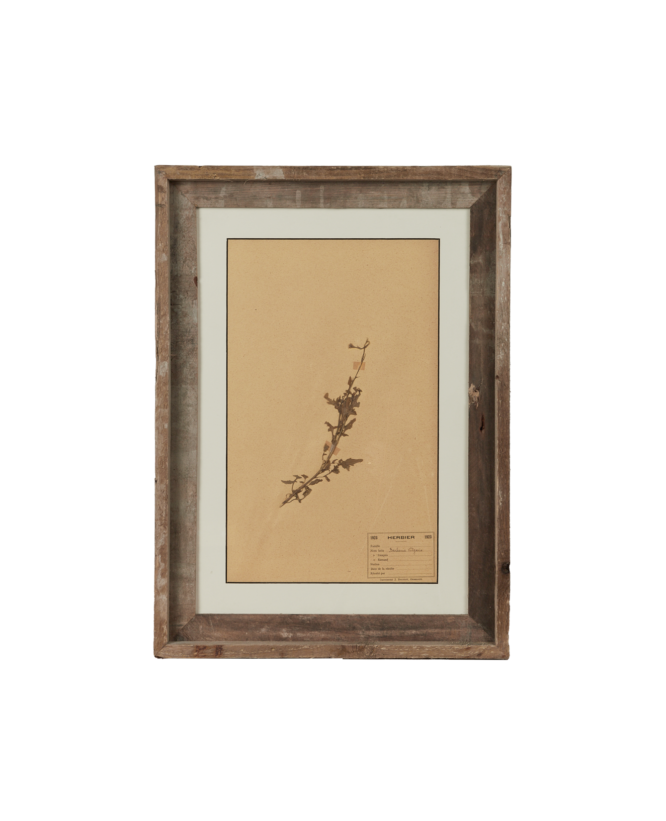 Antique Les Fleurs du Temps from France made of Canvas