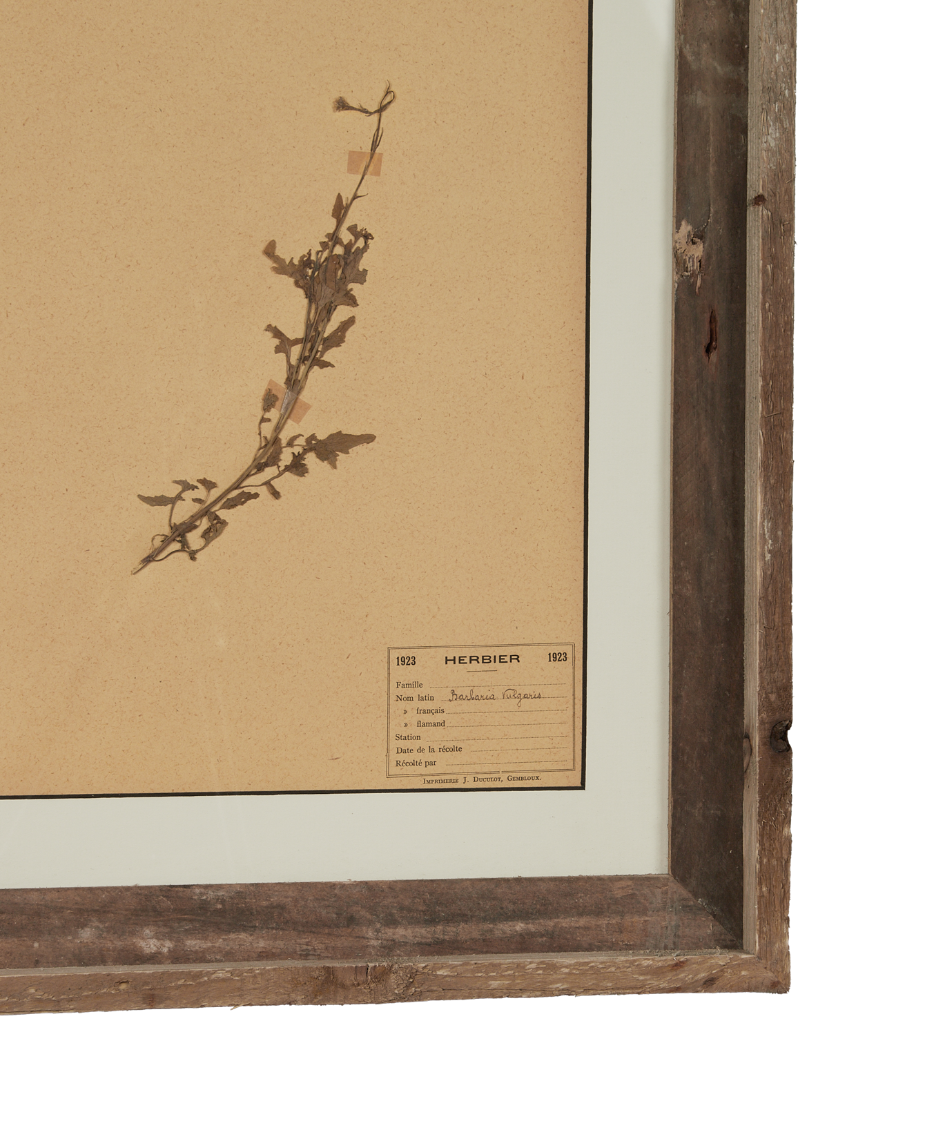 Antique Les Fleurs du Temps from France made of Canvas