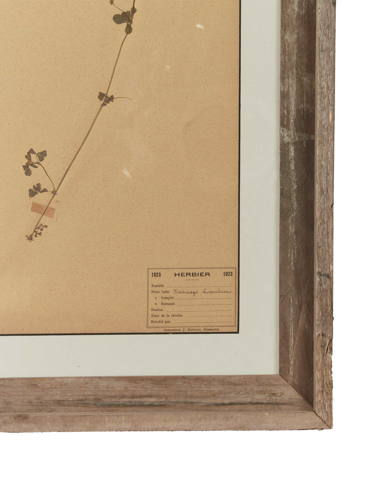 Antique Les Fleurs du Temps from France made of Canvas