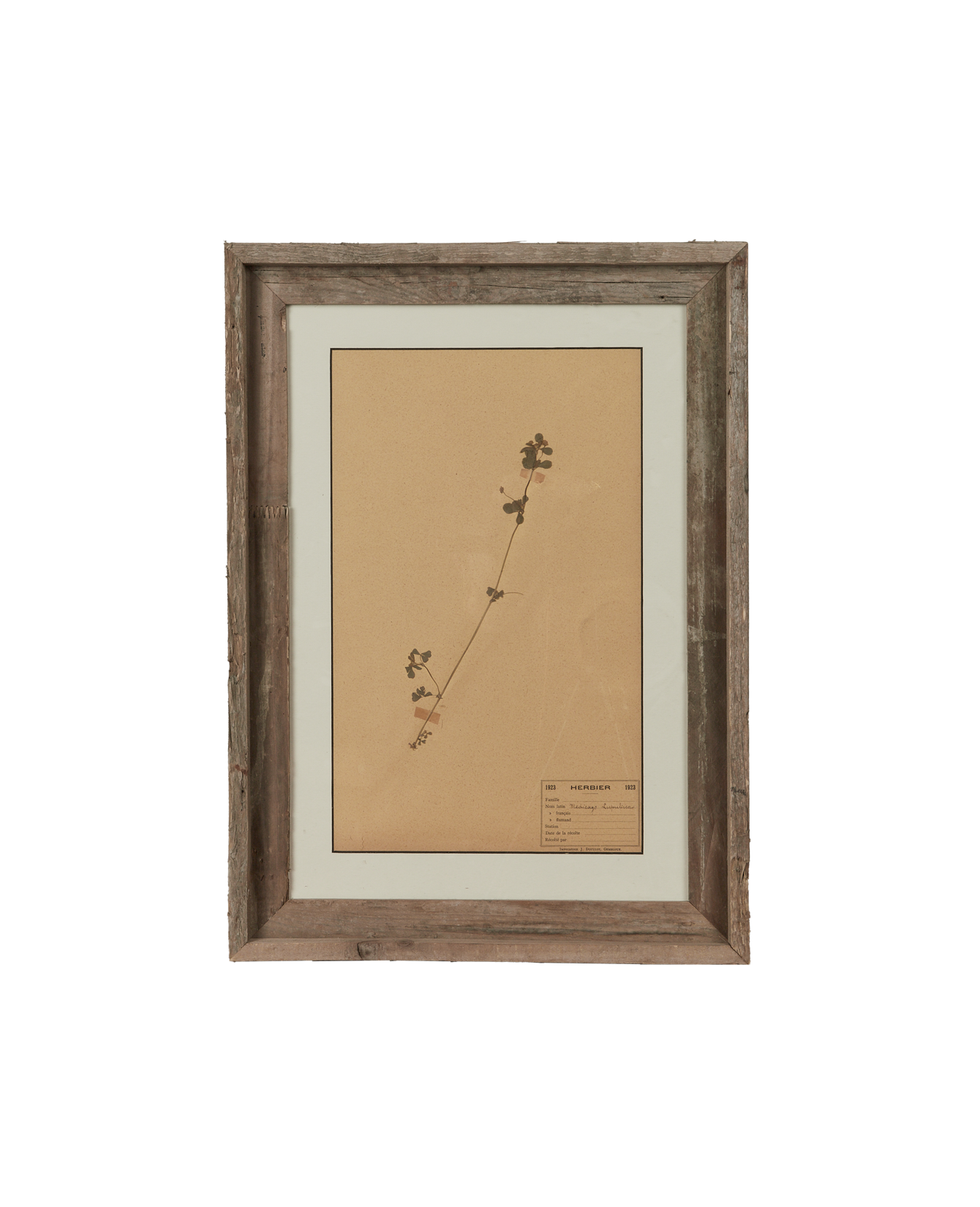 Antique Les Fleurs du Temps from France made of Canvas