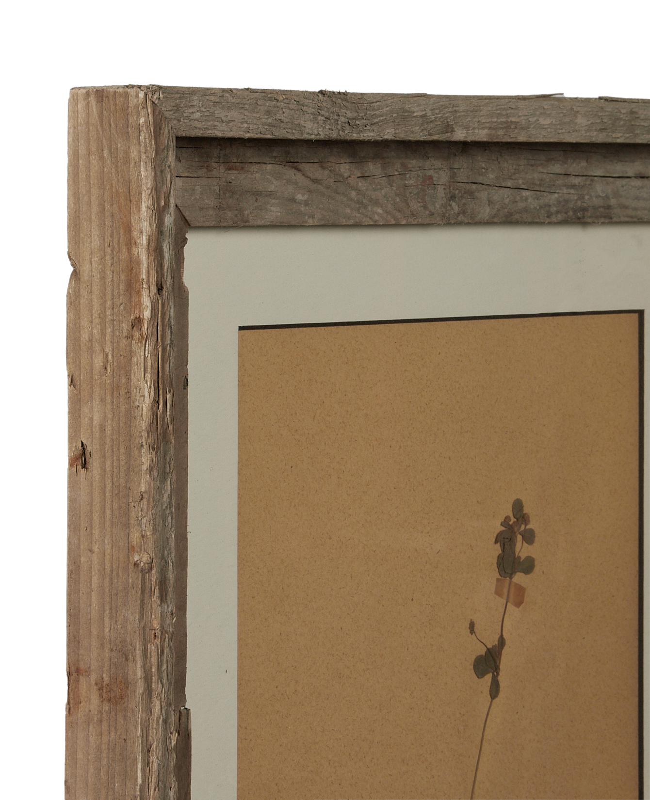 Antique Les Fleurs du Temps from France made of Canvas