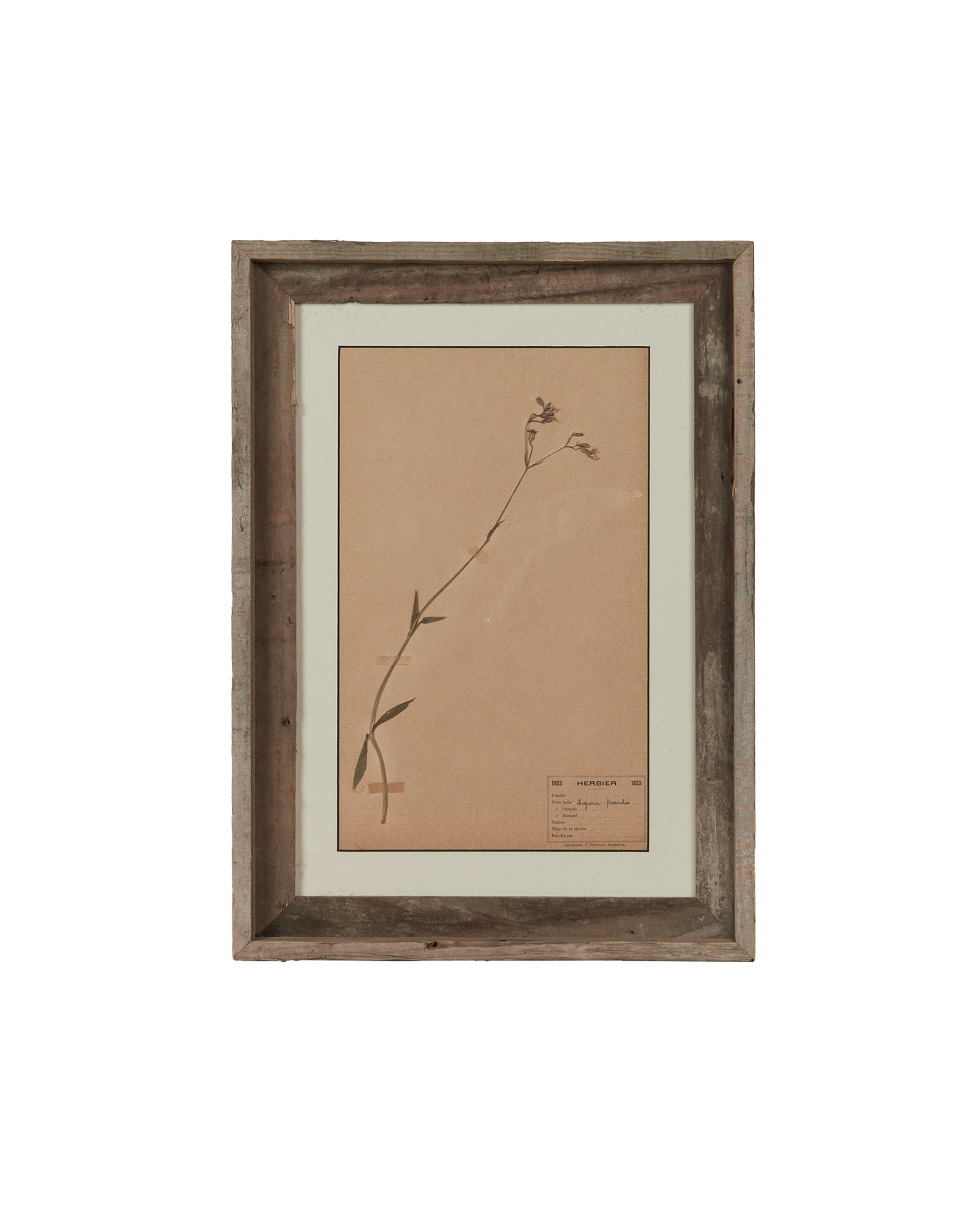 Antique Les Fleurs du Temps from France made of Canvas
