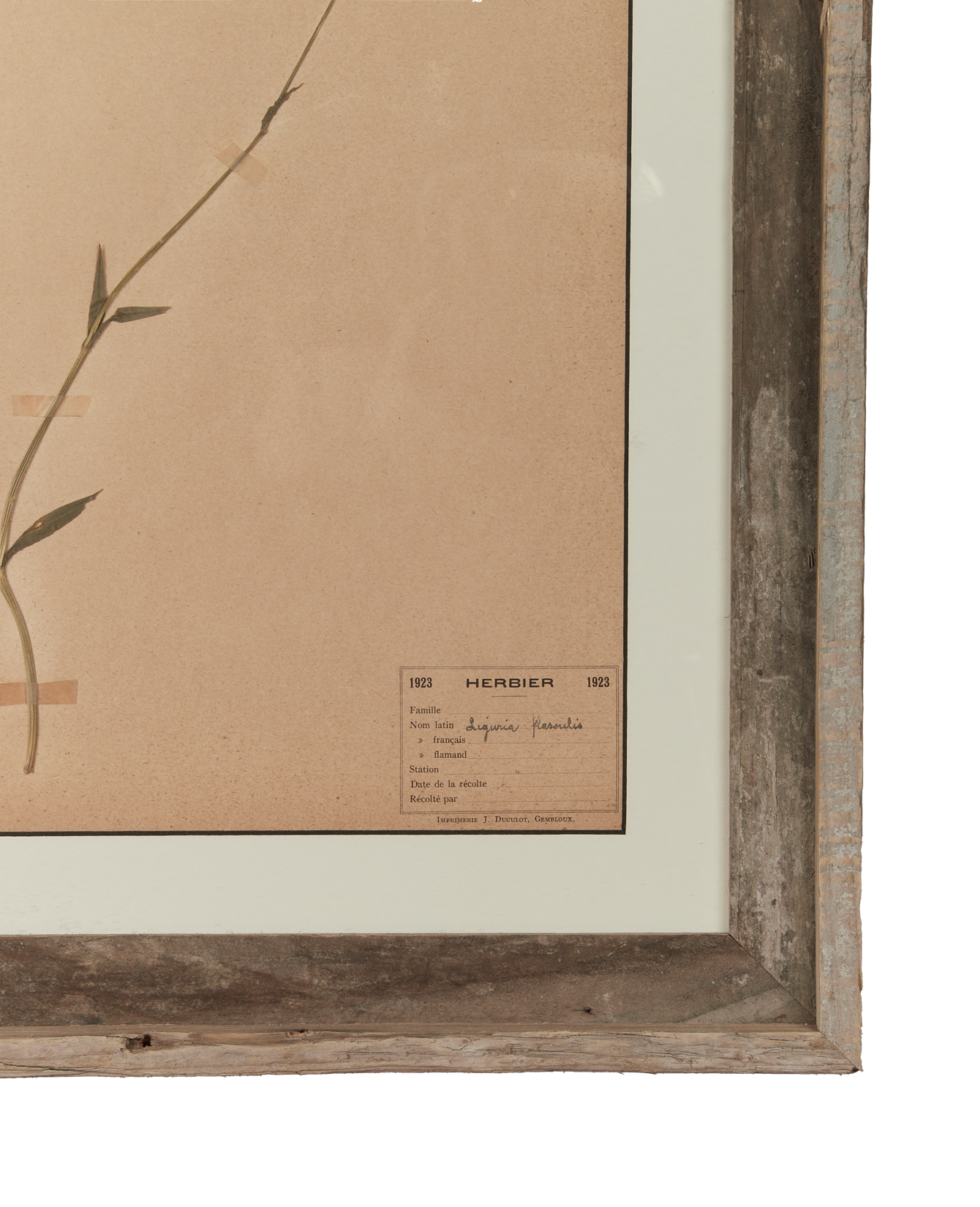 Antique Les Fleurs du Temps from France made of Canvas