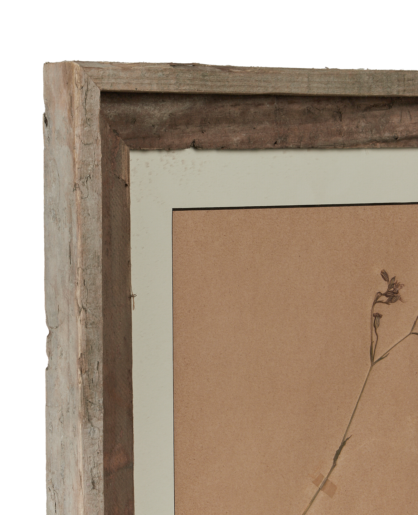 Antique Les Fleurs du Temps from France made of Canvas
