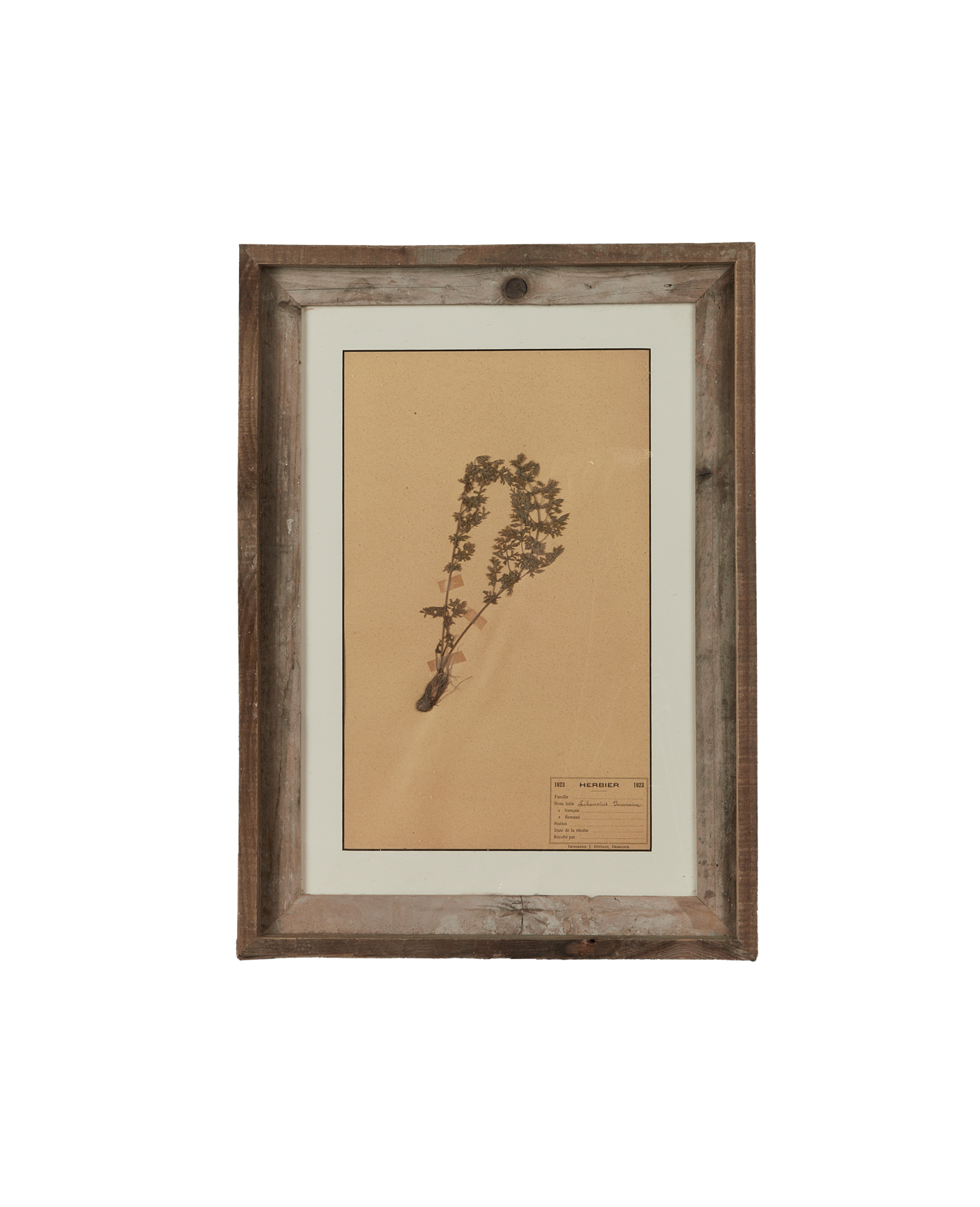 Antique Les Fleurs du Temps from France made of Canvas