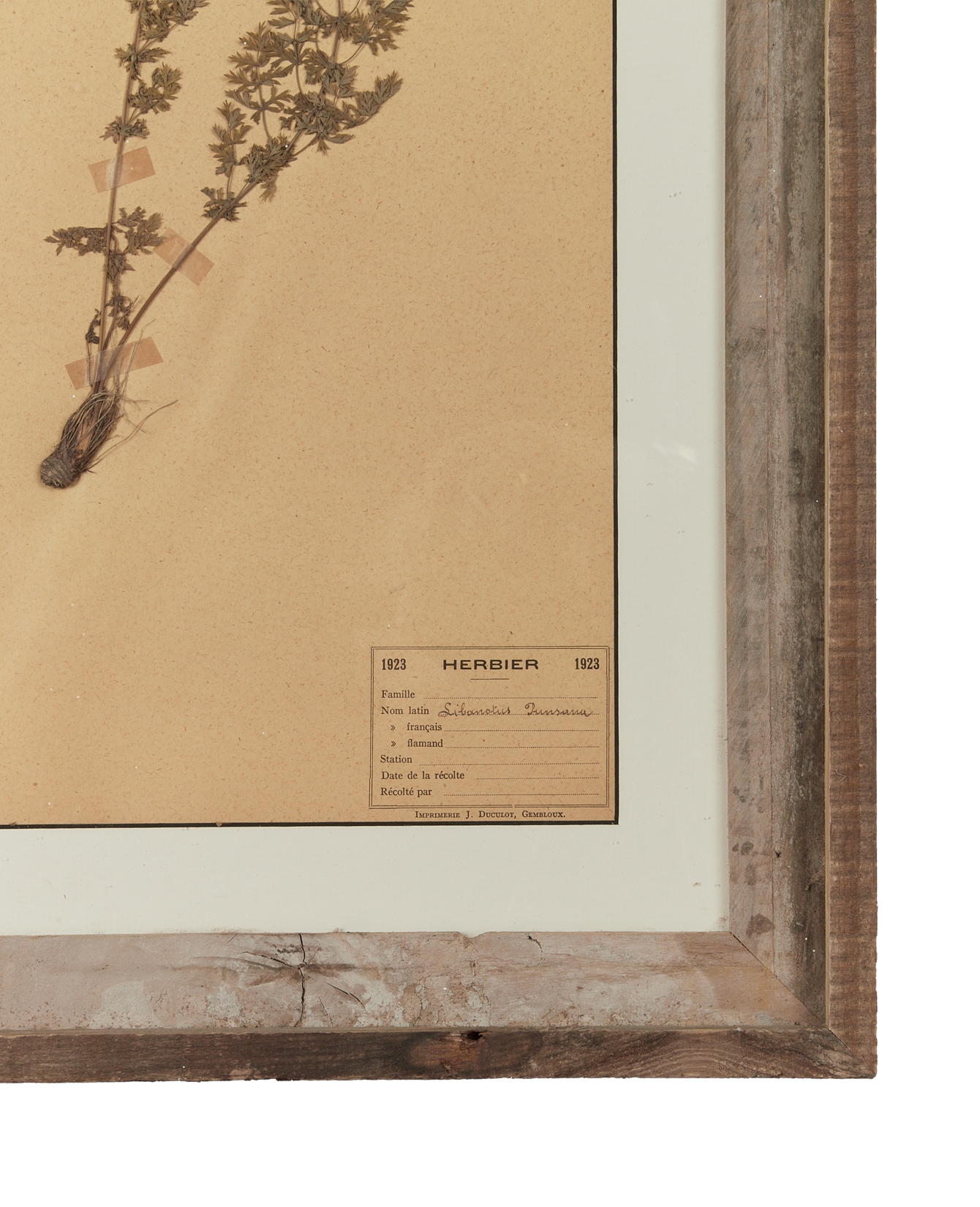 Antique Les Fleurs du Temps from France made of Canvas