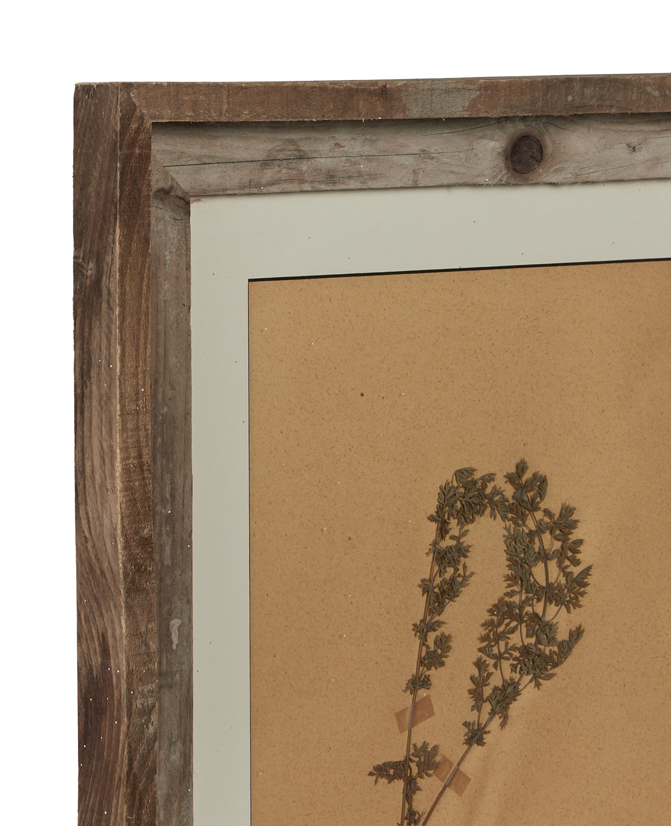 Antique Les Fleurs du Temps from France made of Canvas