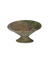 Willy Guhl Planter - Soucoupe