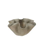 Willy Guhl Planter - Organic