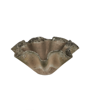 Willy Guhl Planter - Organic