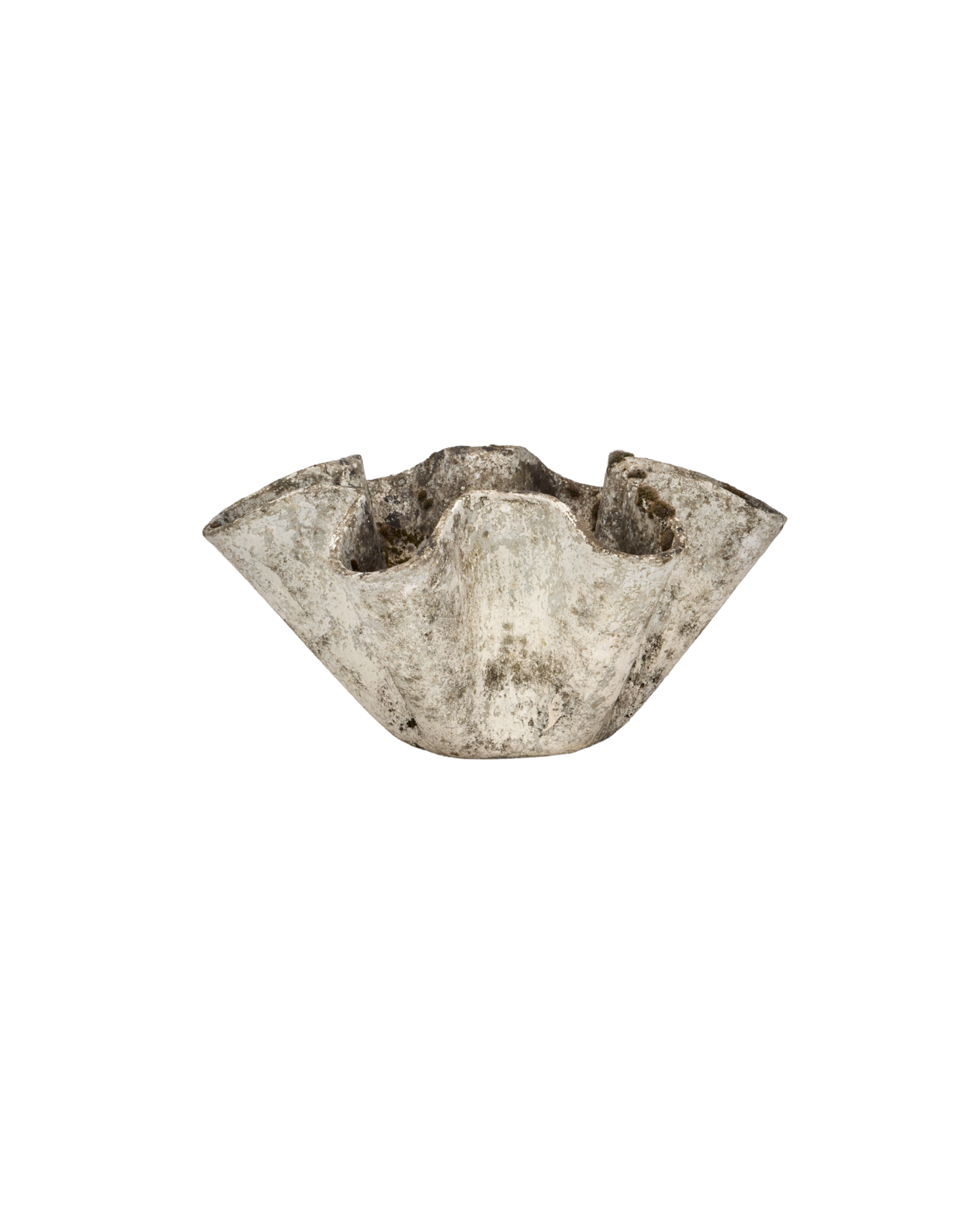 Willy Guhl Planter - Organic