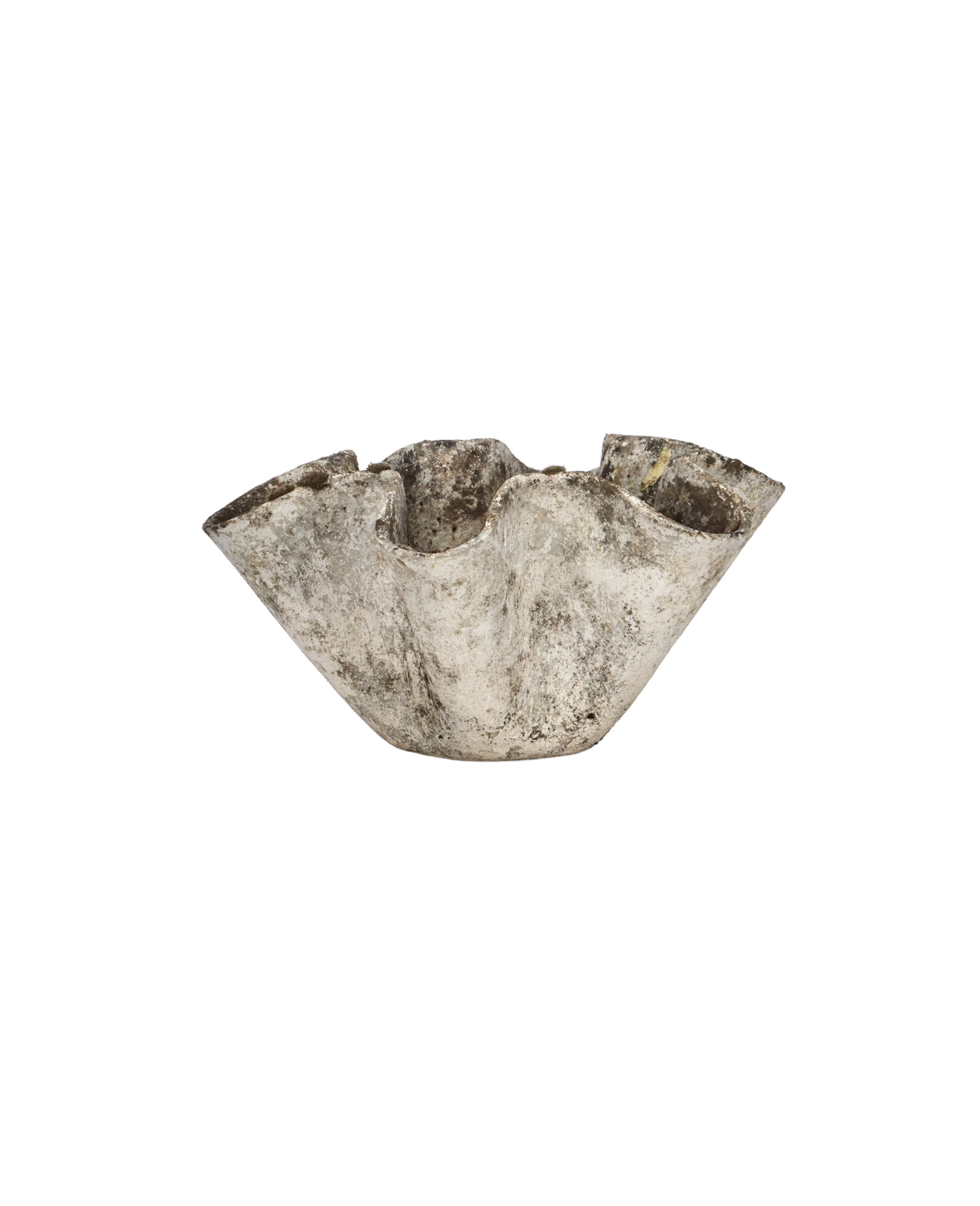 Willy Guhl Planter - Organic