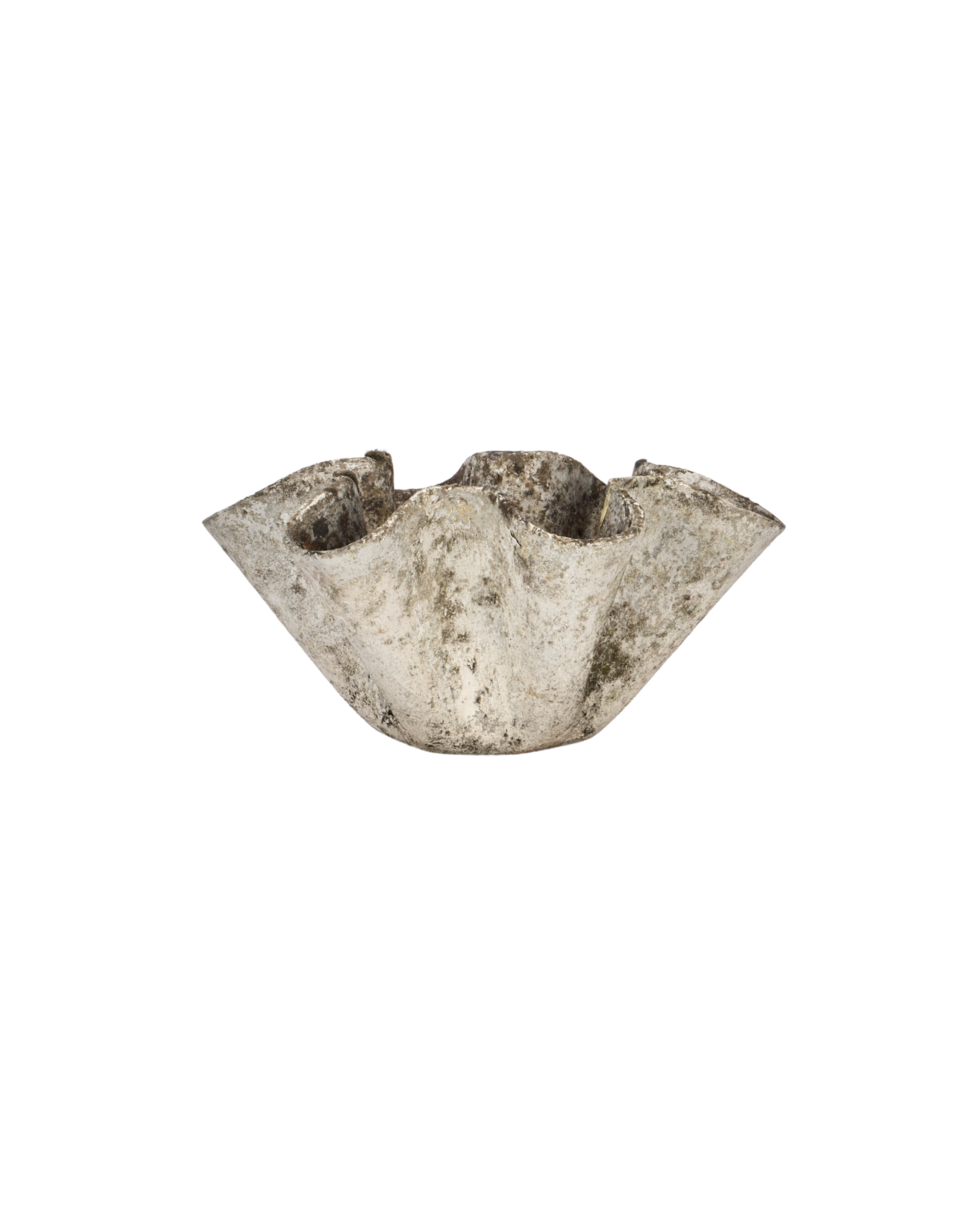 Willy Guhl Planter - Organic