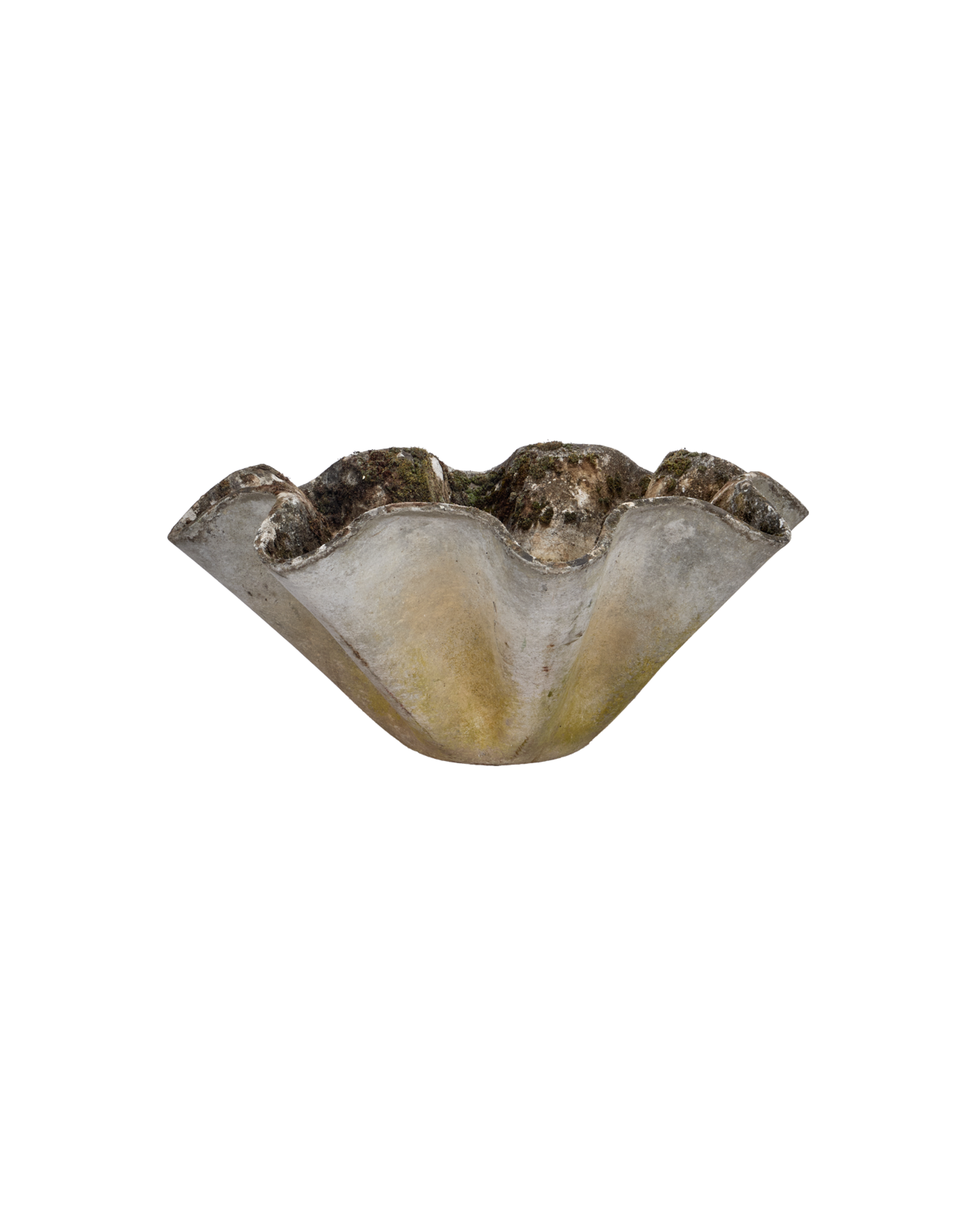 Vintage Willy Guhl Planter - Organic from Switzerland made of Cement