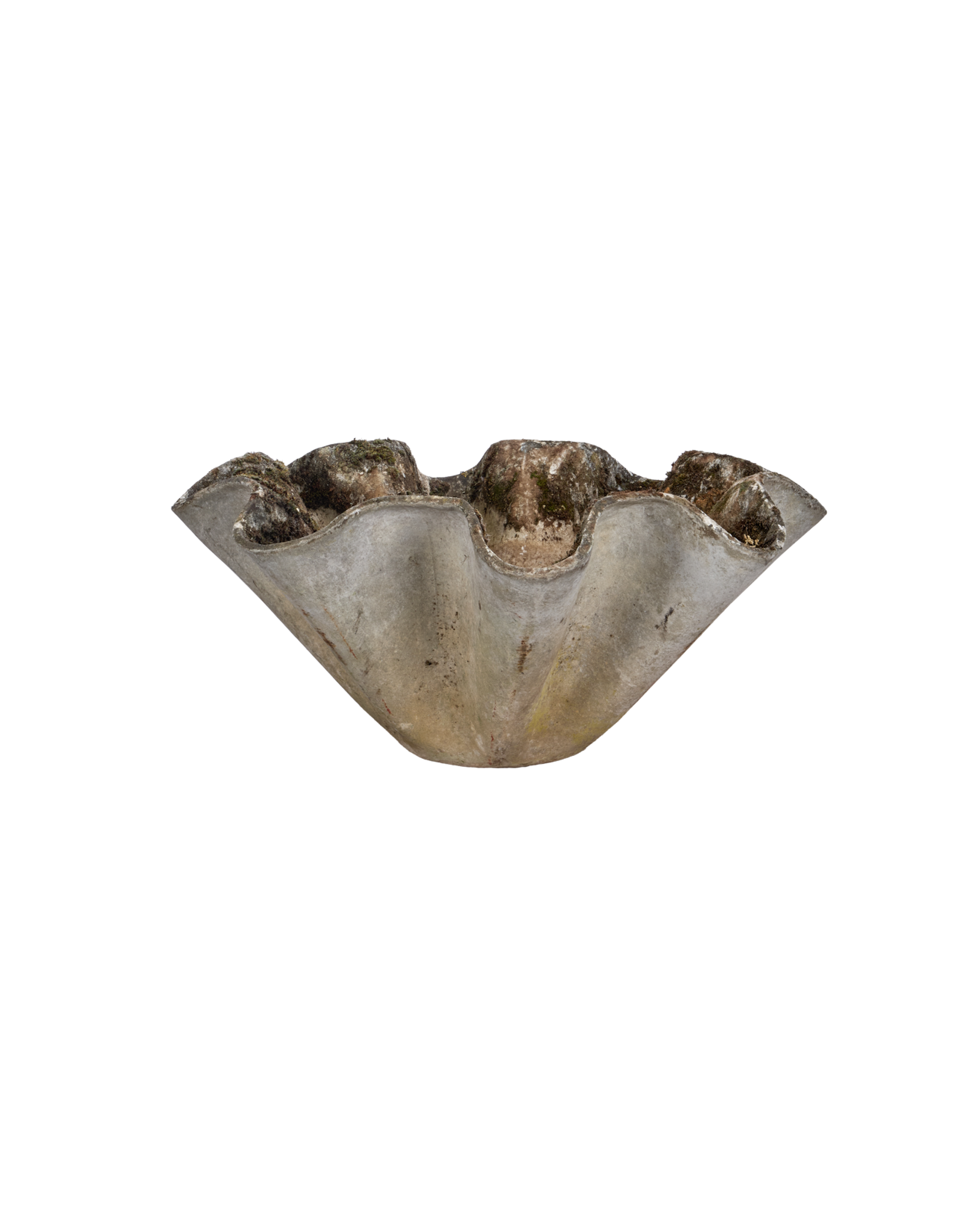 Vintage Willy Guhl Planter - Organic from Switzerland made of Cement