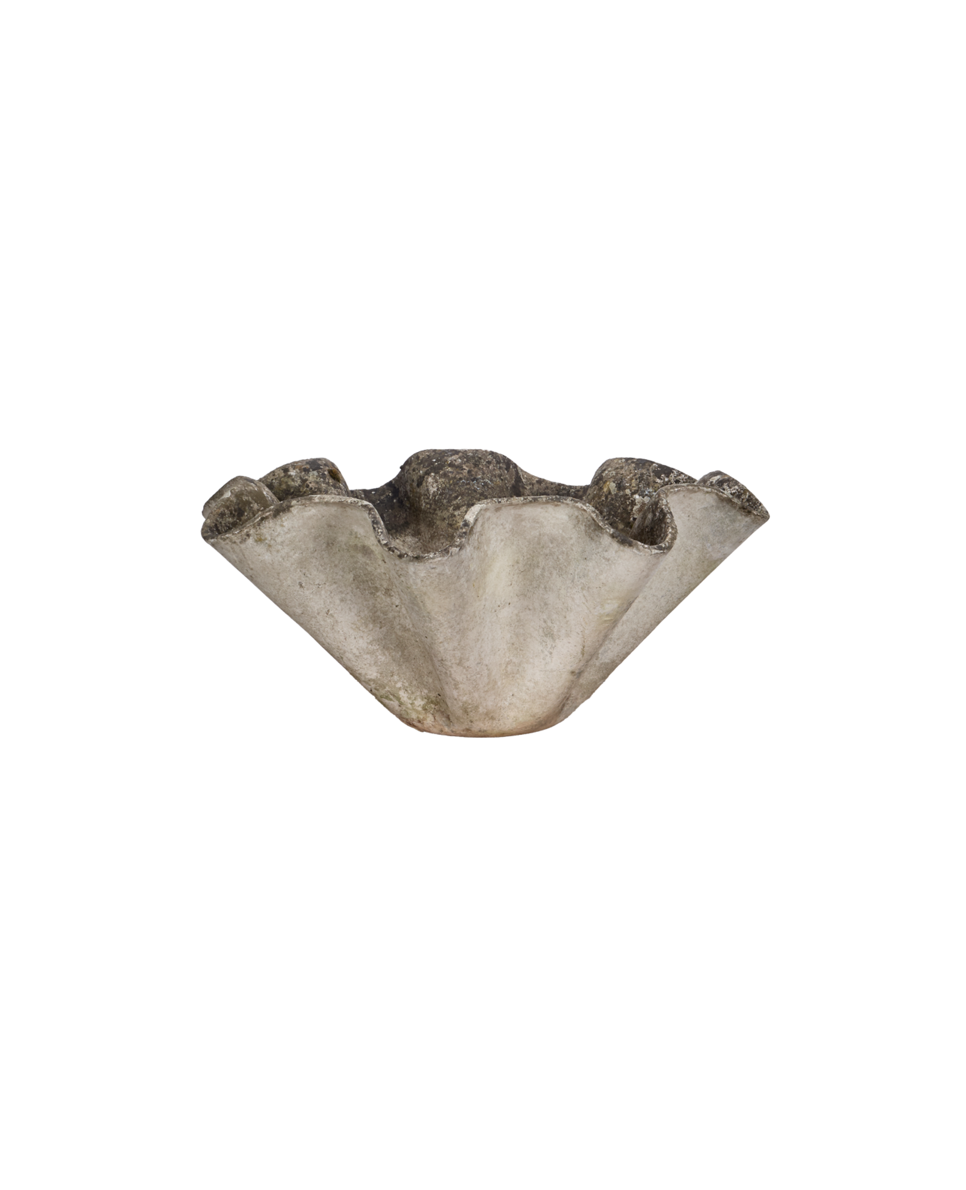 Willy Guhl Planter - Organic