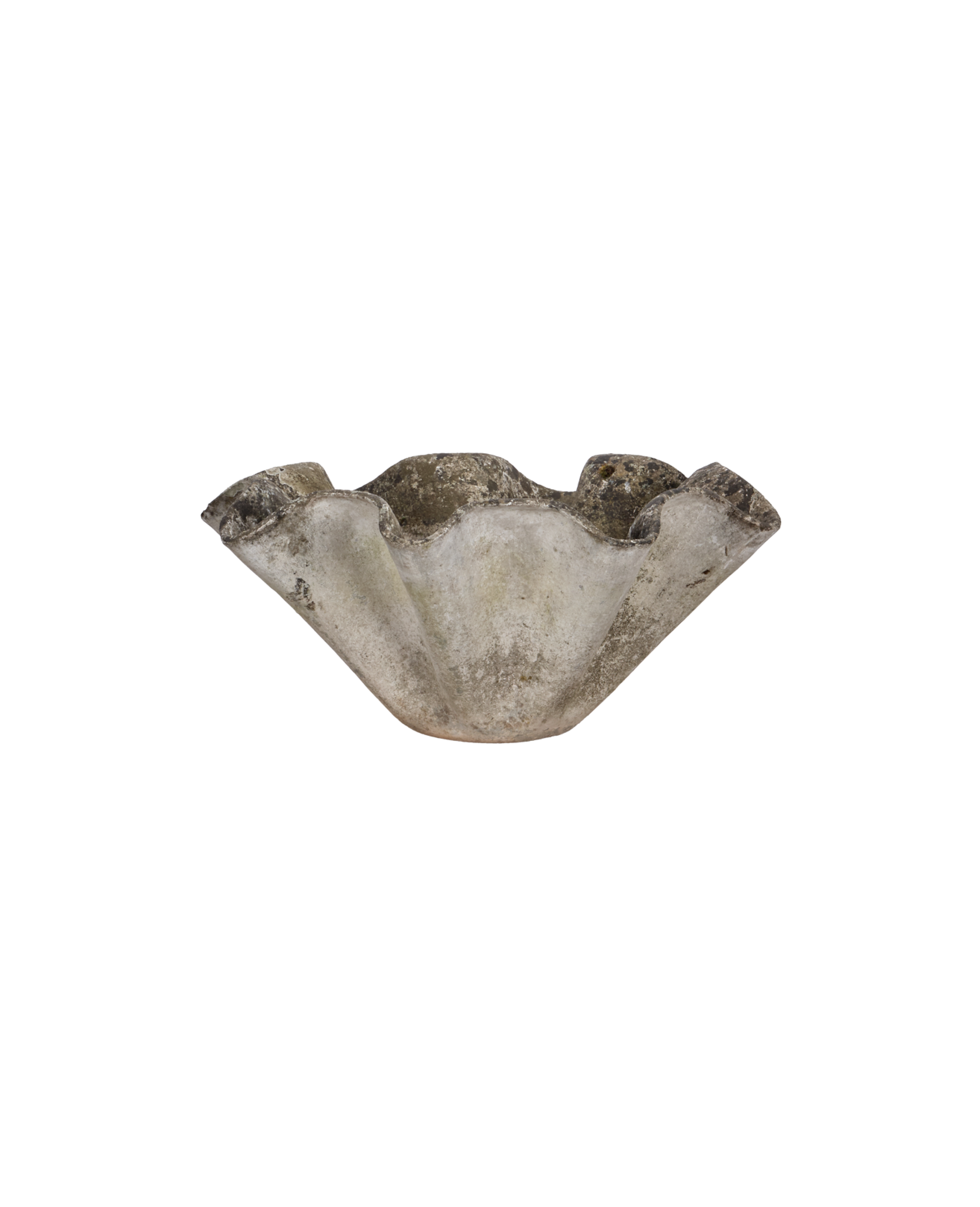 Willy Guhl Planter - Organic