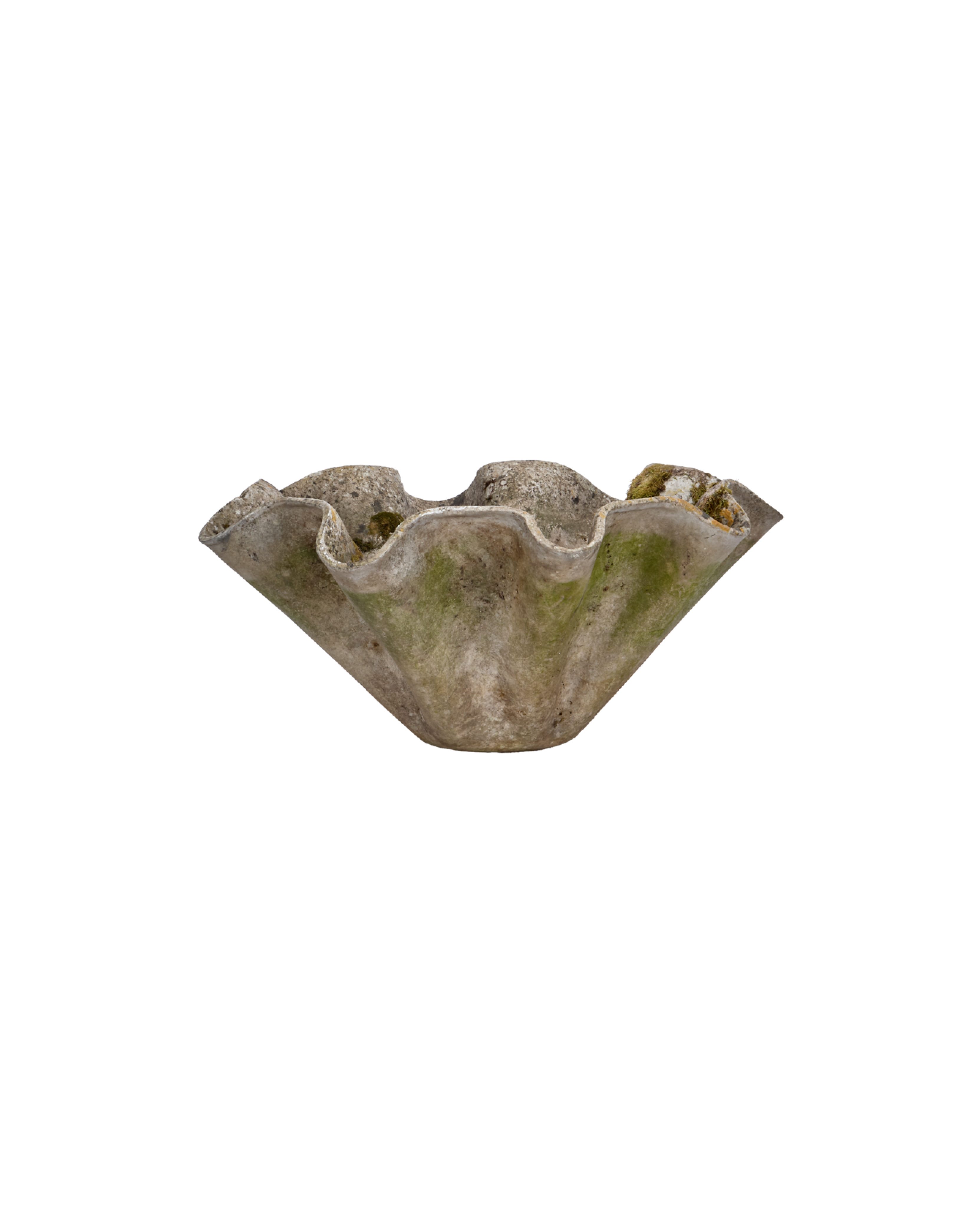 Willy Guhl Planter - Organic
