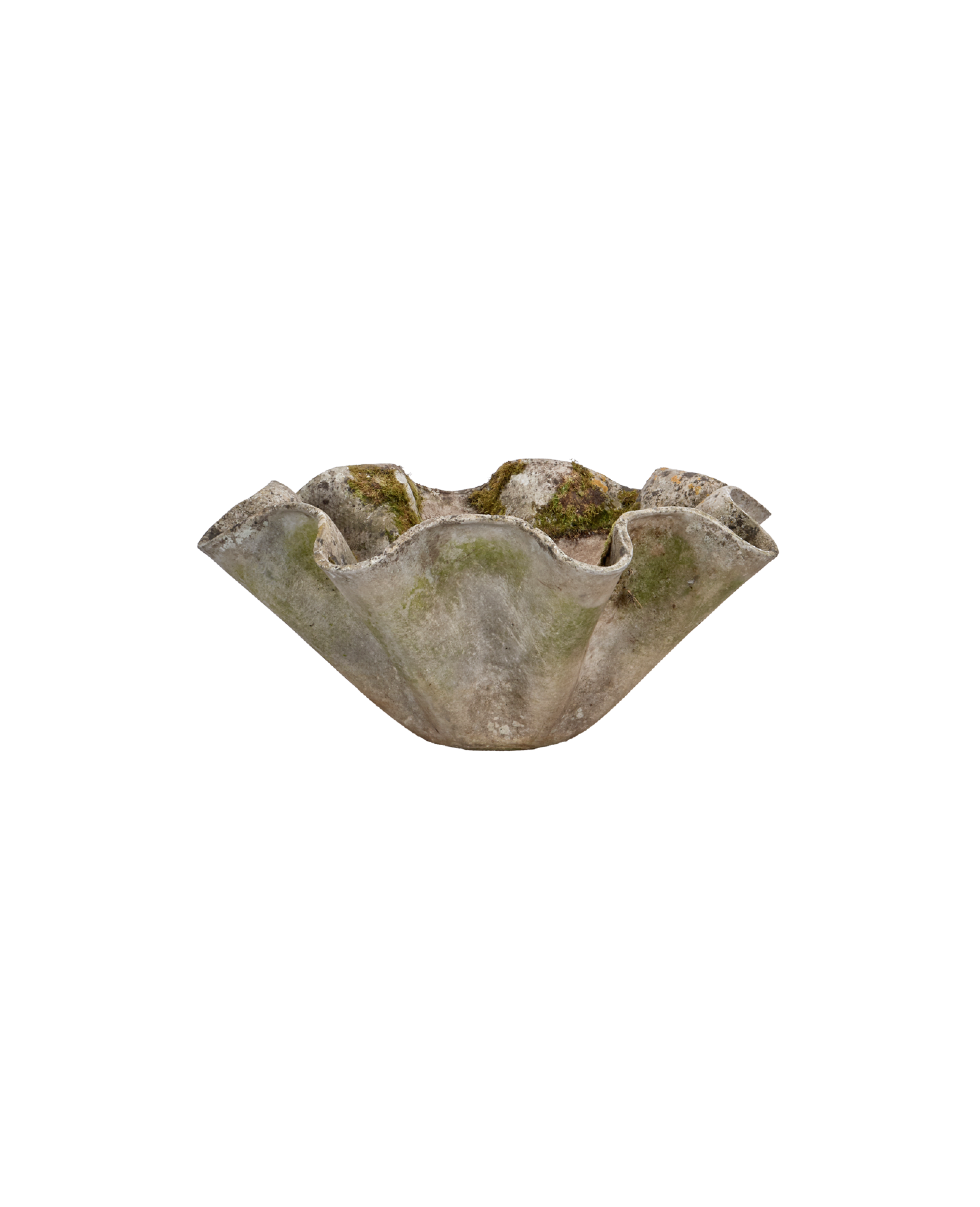 Willy Guhl Planter - Organic