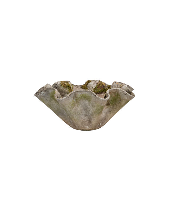 Willy Guhl Planter - Organic