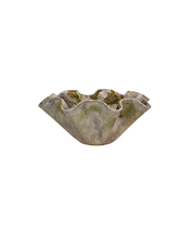 Willy Guhl Planter - Organic