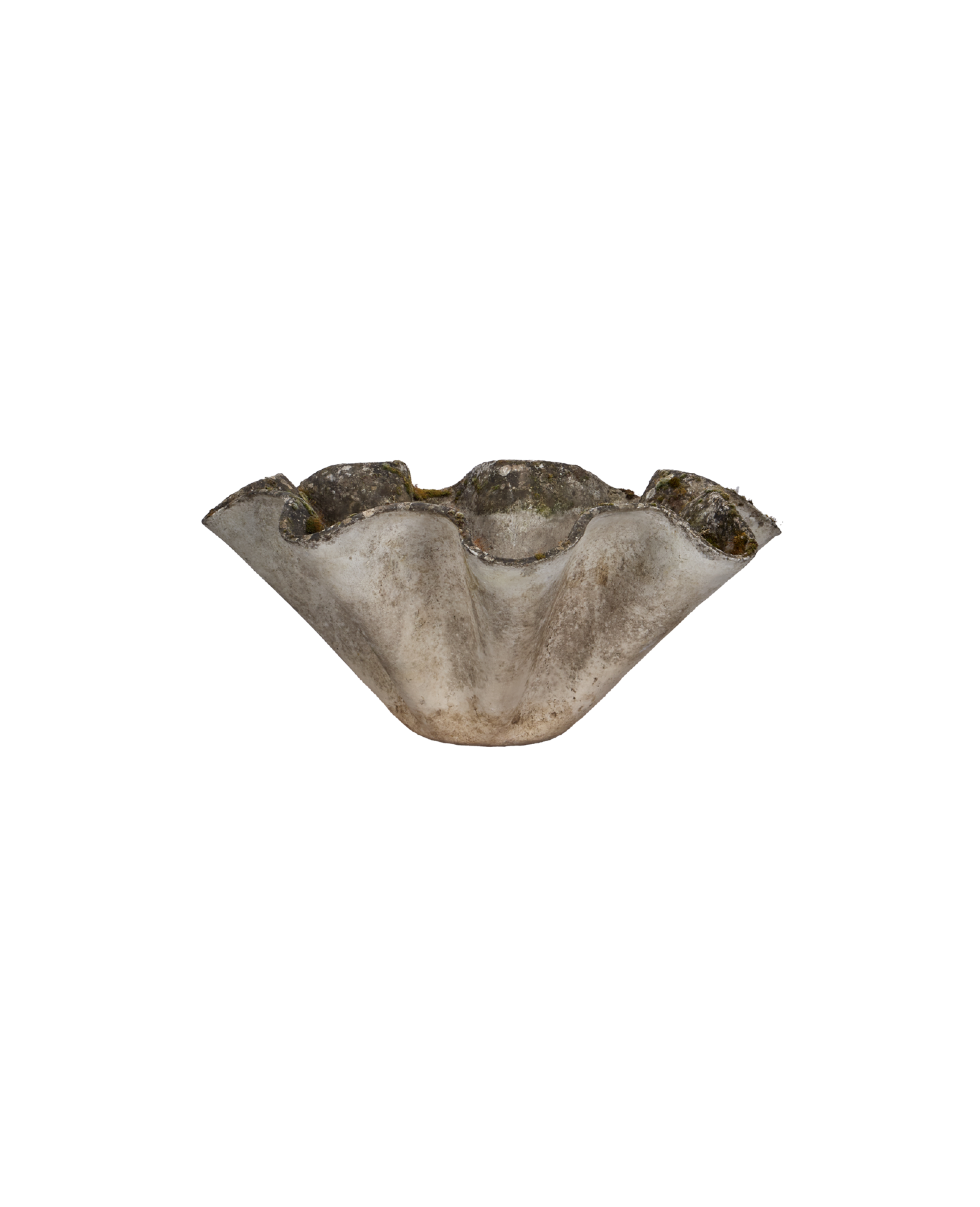 Willy Guhl Planter - Organic