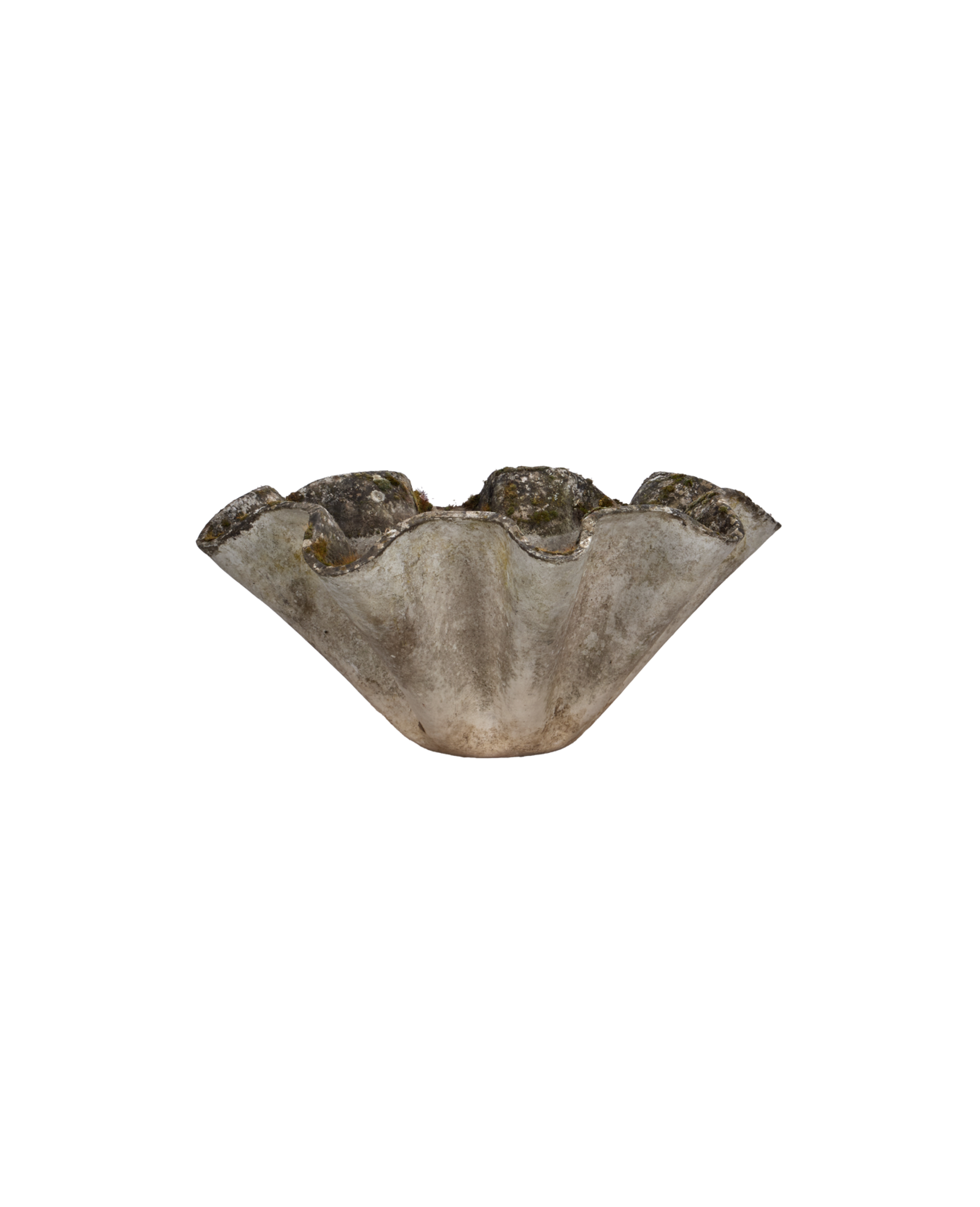 Willy Guhl Planter - Organic