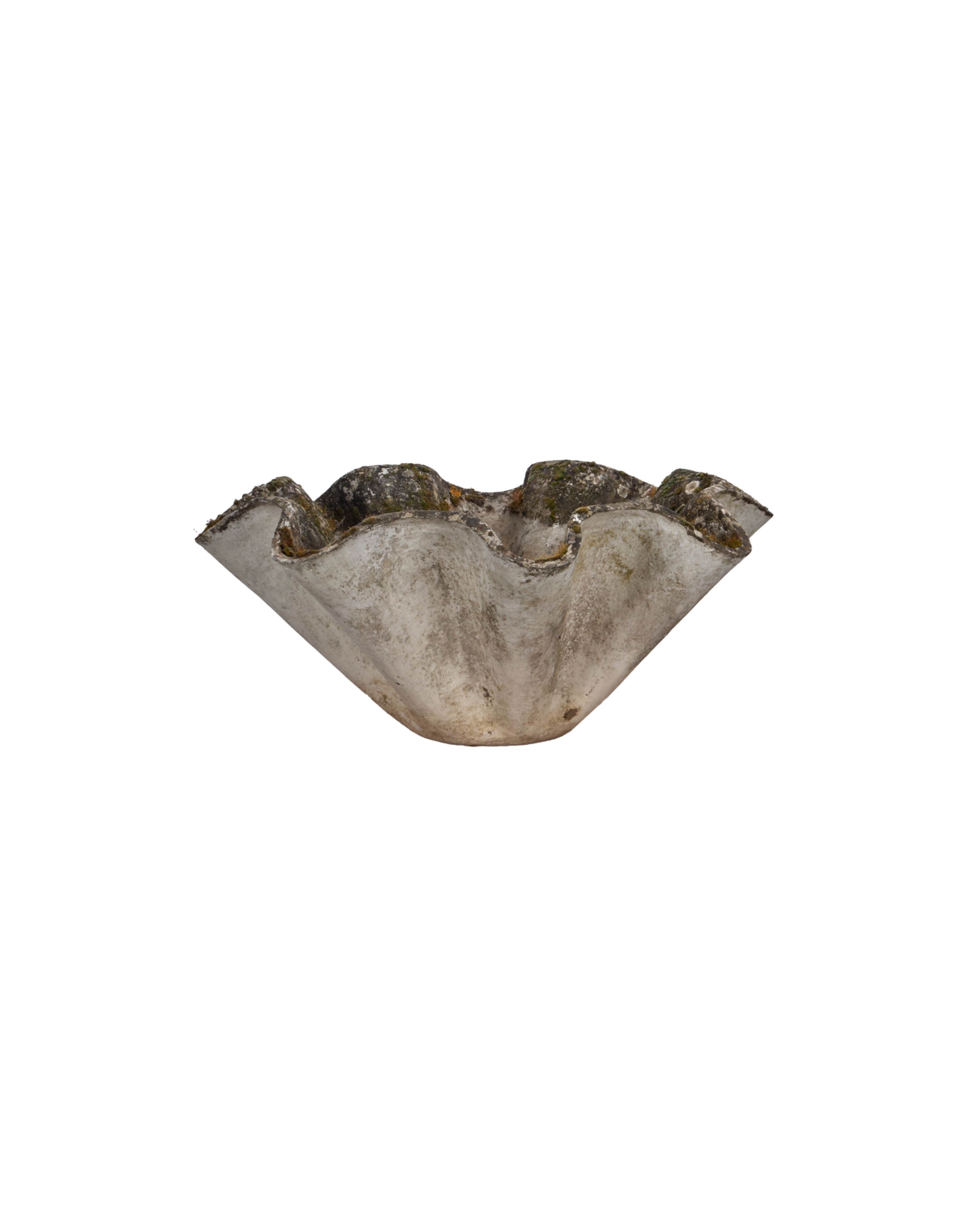 Willy Guhl Planter - Organic