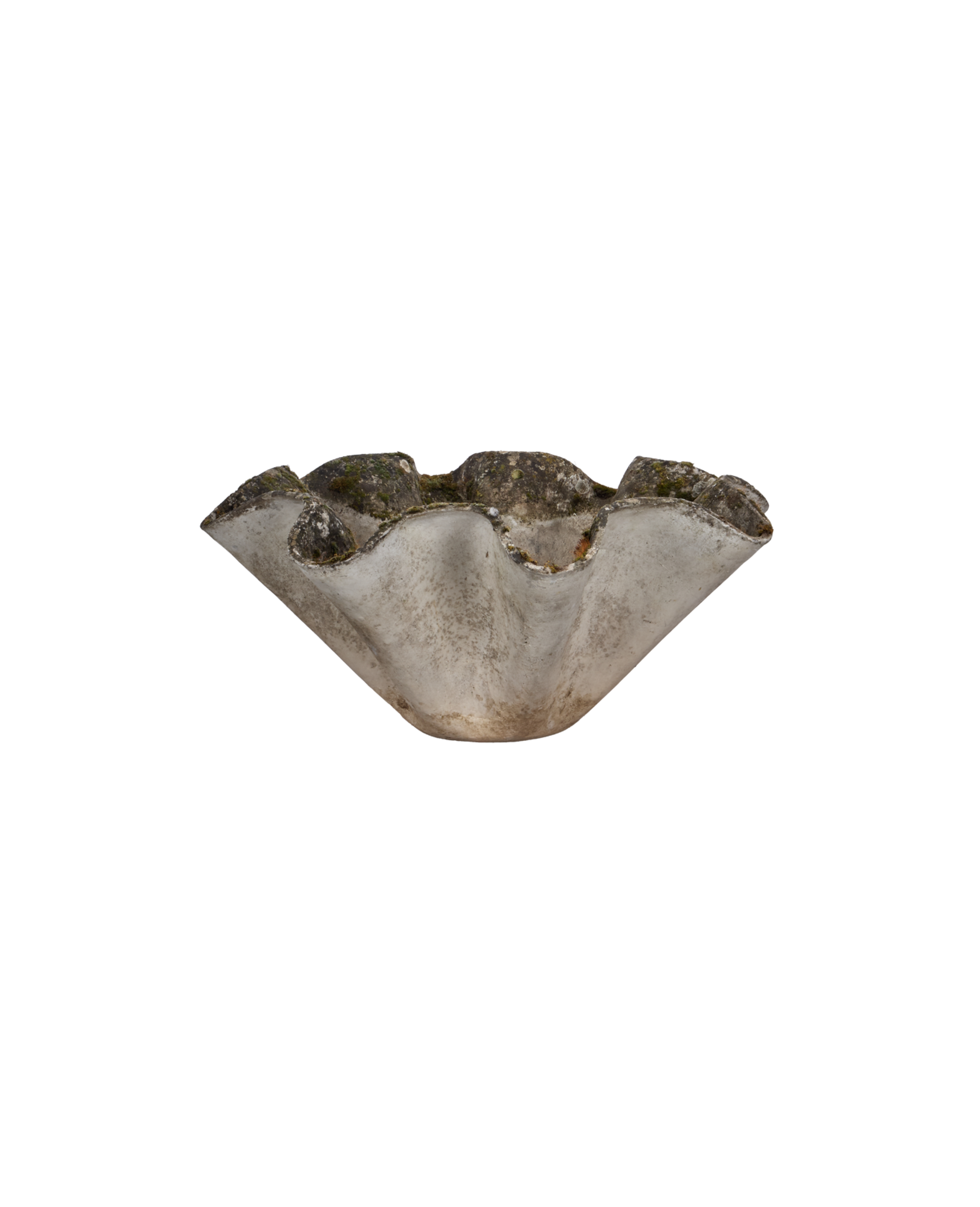 Willy Guhl Planter - Organic