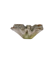 Willy Guhl Planter - Elephant