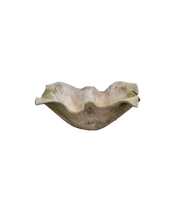 Willy Guhl Planter - Elephant