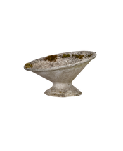 Willy Guhl Planter - Soucoupe