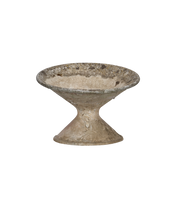 Willy Guhl Planter - Soucoupe